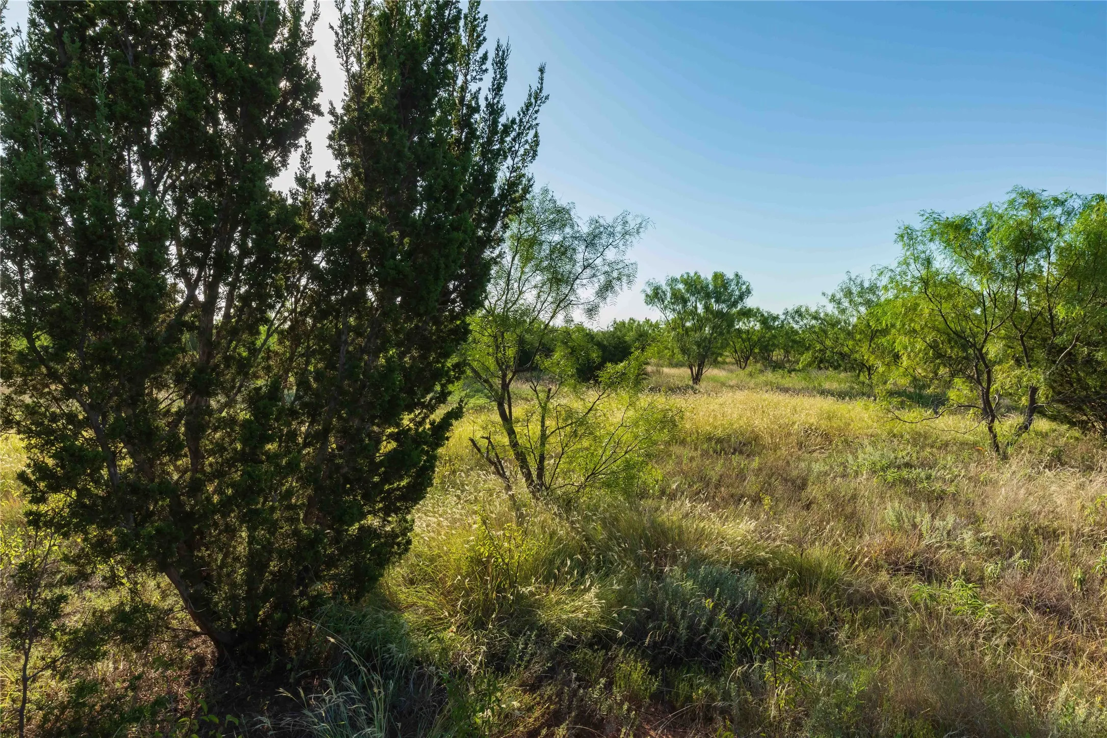 Unimproved Land For Sale in Taylor County , TBD CR 250 US-83, Ovalo, Texas 79541, 0, 0, Garage spaces, 0 Sqft, built in 0, mls#21365538, Real Estate Agent in Ovalo, Homes For Sale in Taylor county, Homes For Sale in Ovalo, Realtor in Ovalo Texas, Real Estate Brokerage Independent Realty Texas, Luminita Cordes Realtor