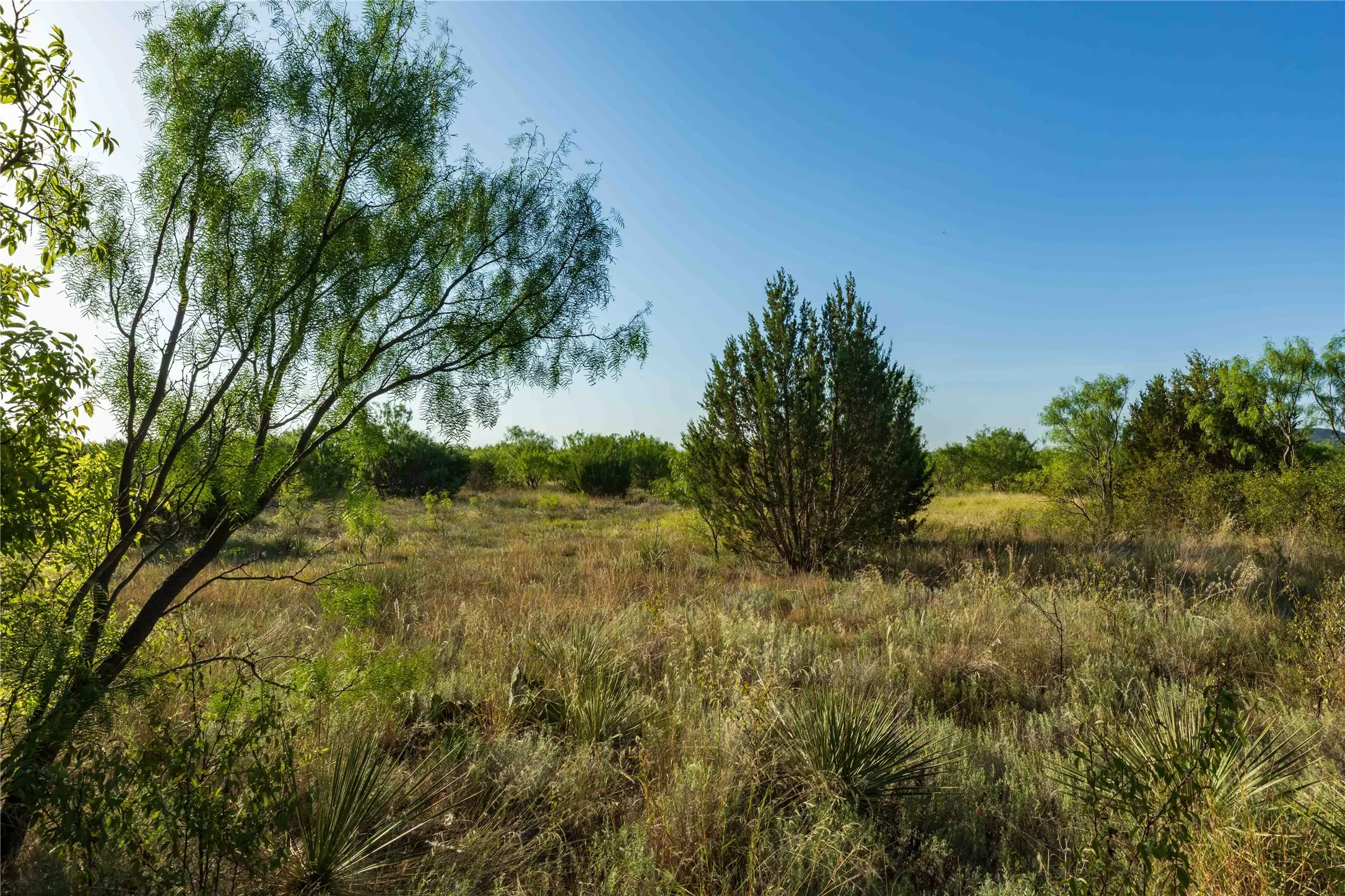 Unimproved Land For Sale in Taylor County , TBD CR 250 US-83, Ovalo, Texas 79541, 0, 0, Garage spaces, 0 Sqft, built in 0, mls#21365538, Real Estate Agent in Ovalo, Homes For Sale in Taylor county, Homes For Sale in Ovalo, Realtor in Ovalo Texas, Real Estate Brokerage Independent Realty Texas, Luminita Cordes Realtor