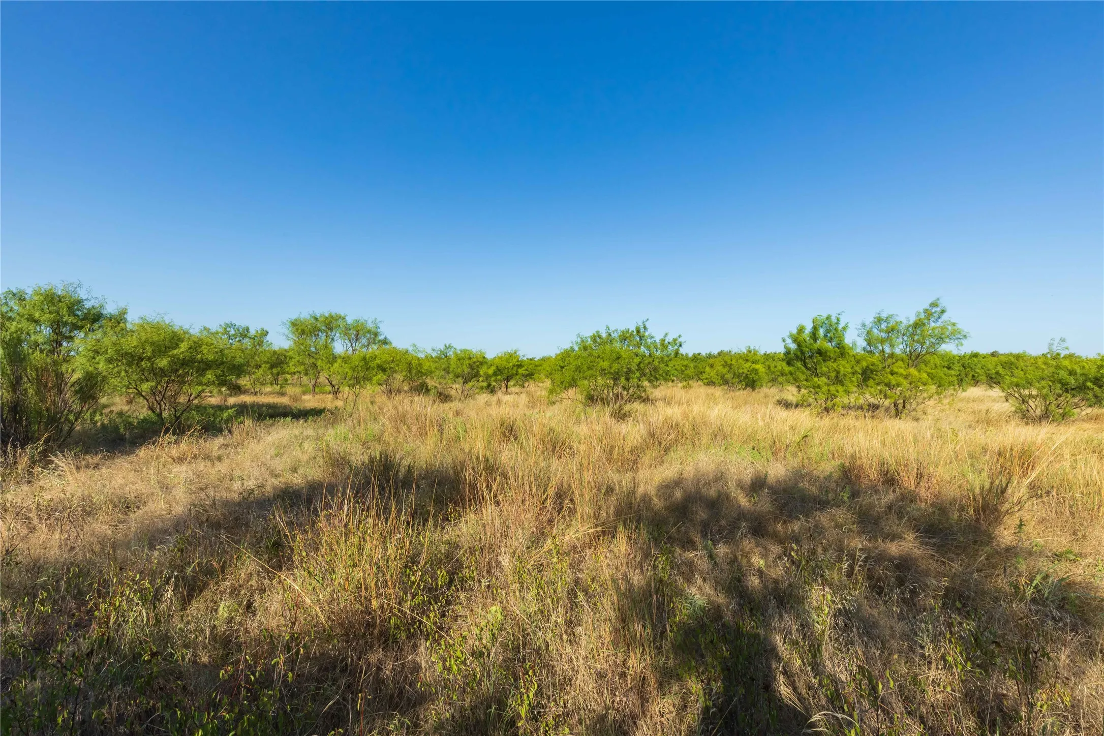 Unimproved Land For Sale in Taylor County , TBD CR 250 US-83, Ovalo, Texas 79541, 0, 0, Garage spaces, 0 Sqft, built in 0, mls#21365538, Real Estate Agent in Ovalo, Homes For Sale in Taylor county, Homes For Sale in Ovalo, Realtor in Ovalo Texas, Real Estate Brokerage Independent Realty Texas, Luminita Cordes Realtor