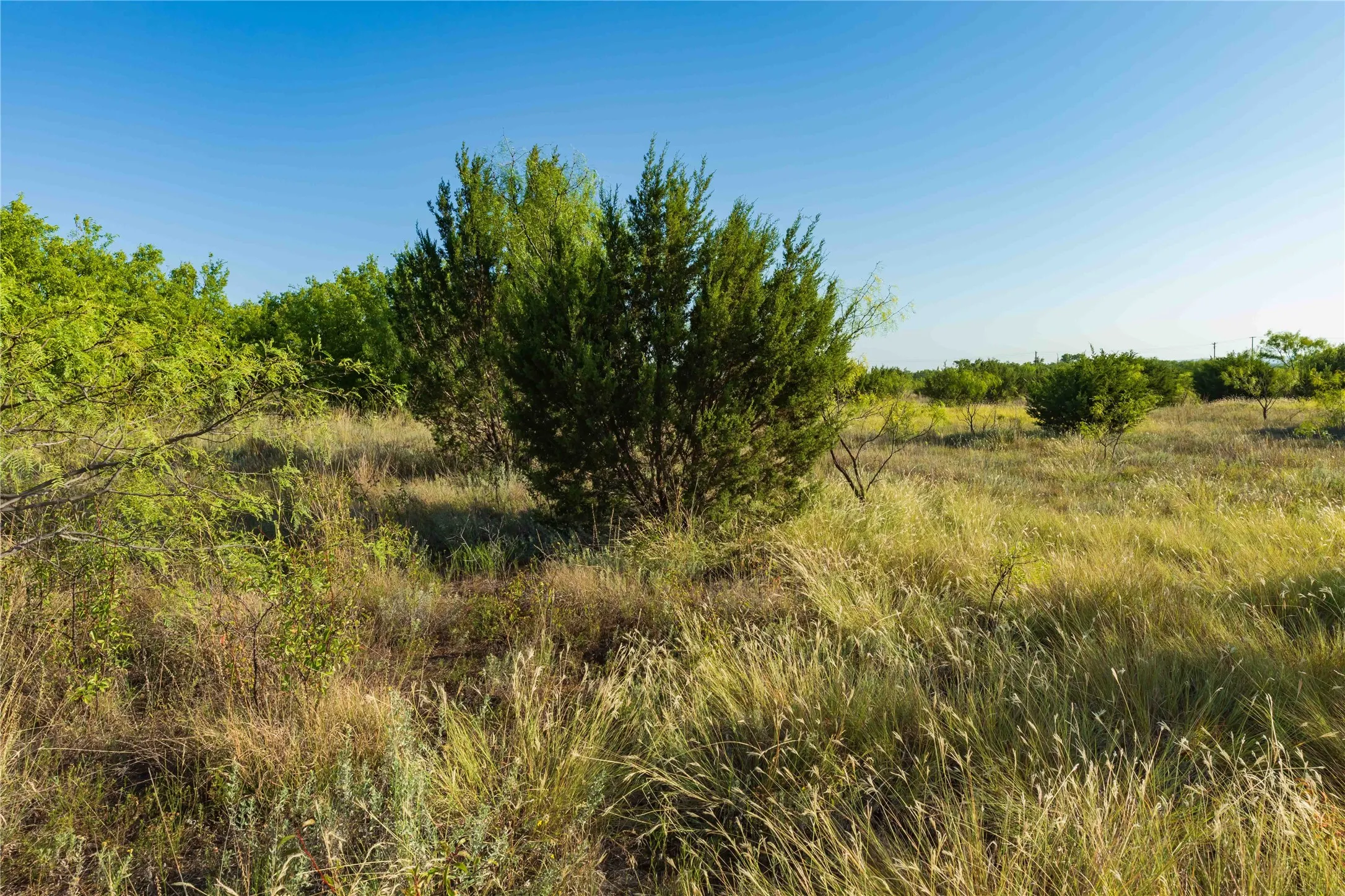Unimproved Land For Sale in Taylor County , TBD CR 250 US-83, Ovalo, Texas 79541, 0, 0, Garage spaces, 0 Sqft, built in 0, mls#21365538, Real Estate Agent in Ovalo, Homes For Sale in Taylor county, Homes For Sale in Ovalo, Realtor in Ovalo Texas, Real Estate Brokerage Independent Realty Texas, Luminita Cordes Realtor