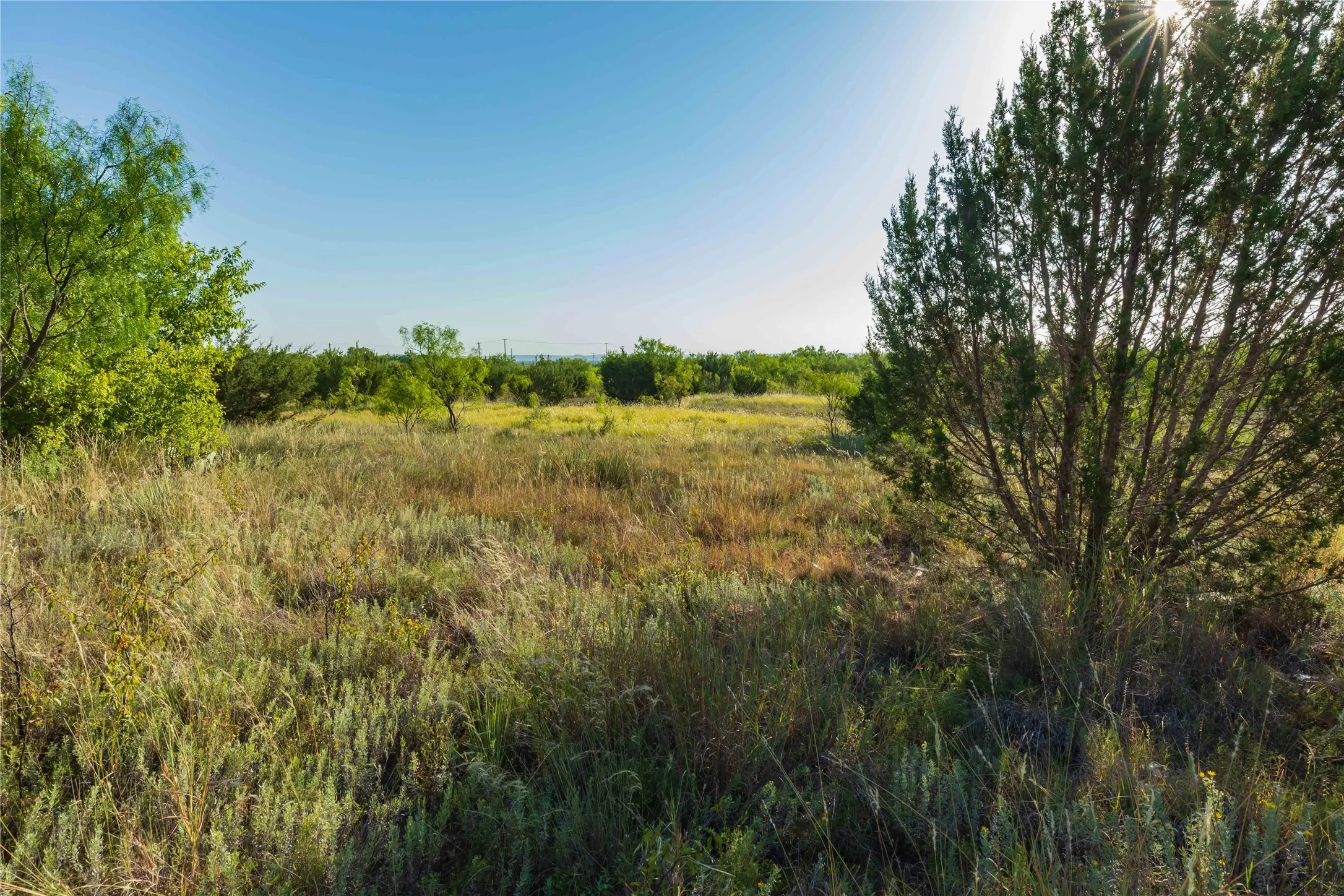 Unimproved Land For Sale in Taylor County , TBD CR 250 US-83, Ovalo, Texas 79541, 0, 0, Garage spaces, 0 Sqft, built in 0, mls#21365538, Real Estate Agent in Ovalo, Homes For Sale in Taylor county, Homes For Sale in Ovalo, Realtor in Ovalo Texas, Real Estate Brokerage Independent Realty Texas, Luminita Cordes Realtor