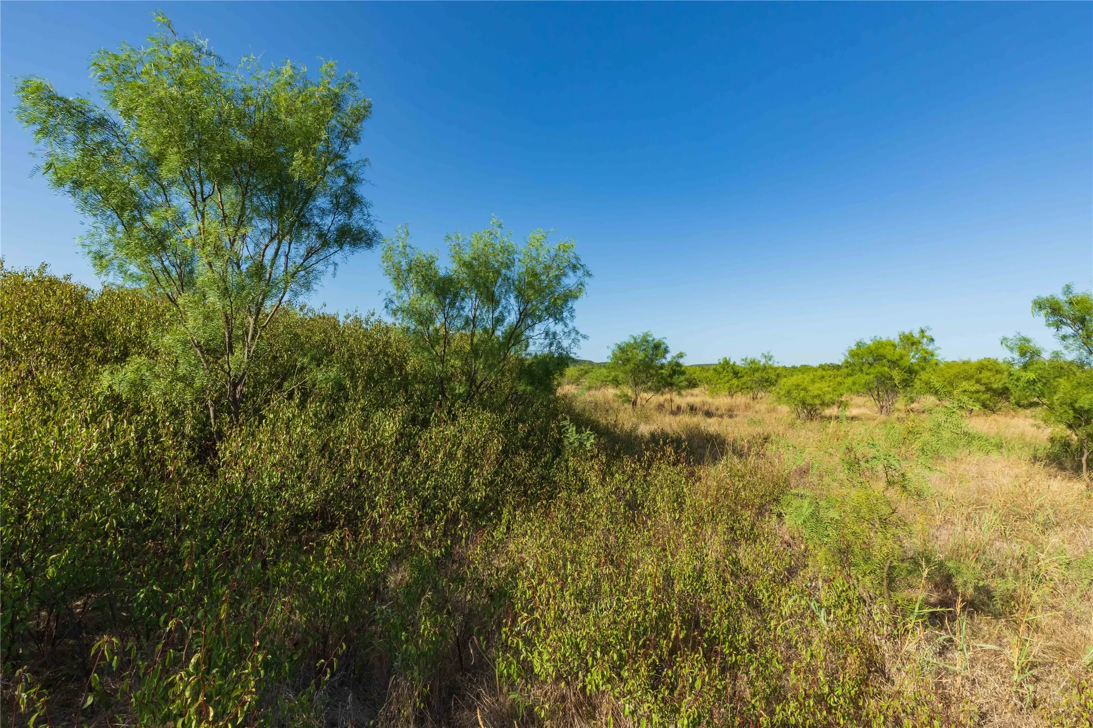 Unimproved Land For Sale in Taylor County , TBD CR 250 US-83, Ovalo, Texas 79541, 0, 0, Garage spaces, 0 Sqft, built in 0, mls#21365538, Real Estate Agent in Ovalo, Homes For Sale in Taylor county, Homes For Sale in Ovalo, Realtor in Ovalo Texas, Real Estate Brokerage Independent Realty Texas, Luminita Cordes Realtor