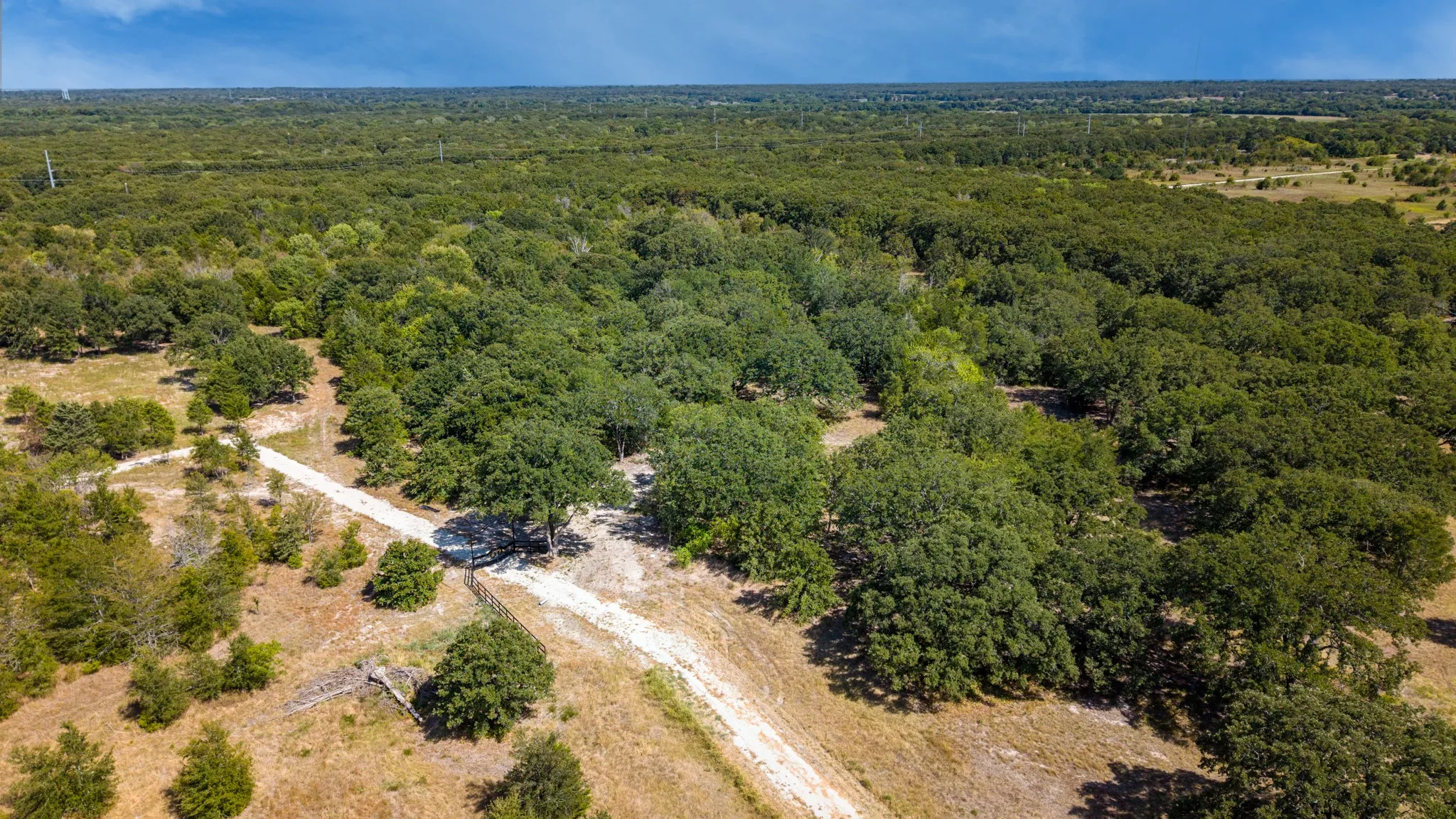 Expansive land parcel featuring dense tree coverage, open clearings, and a partial gravel pathway