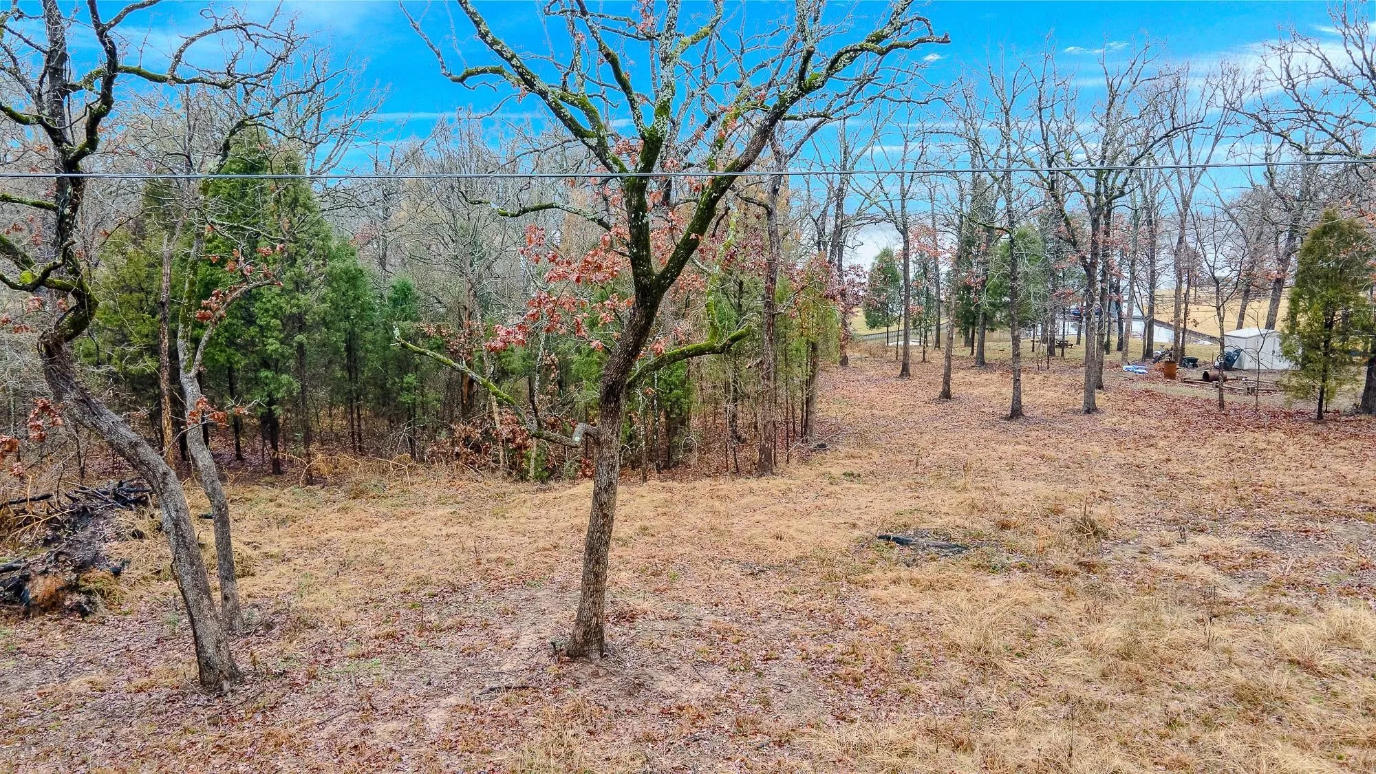 Unimproved Land For Sale in Henderson County , TBD Clear Point Road, Malakoff, Texas 75148, 0, 0, Garage spaces, 0 Sqft, built in 0, mls#21365592, Real Estate Agent in Malakoff, Homes For Sale in Henderson county, Homes For Sale in Malakoff, Realtor in Malakoff Texas, Real Estate Brokerage Independent Realty Texas, Luminita Cordes Realtor