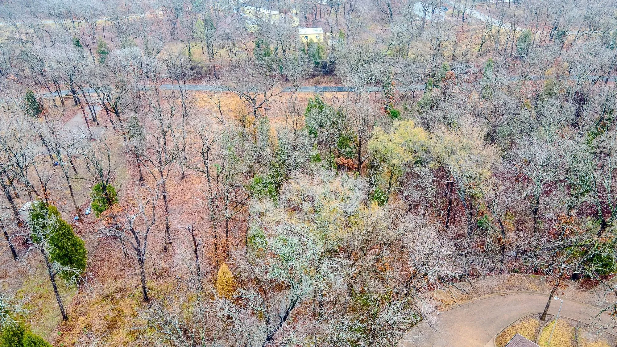 Unimproved Land For Sale in Henderson County , TBD Clear Point Road, Malakoff, Texas 75148, 0, 0, Garage spaces, 0 Sqft, built in 0, mls#21365592, Real Estate Agent in Malakoff, Homes For Sale in Henderson county, Homes For Sale in Malakoff, Realtor in Malakoff Texas, Real Estate Brokerage Independent Realty Texas, Luminita Cordes Realtor