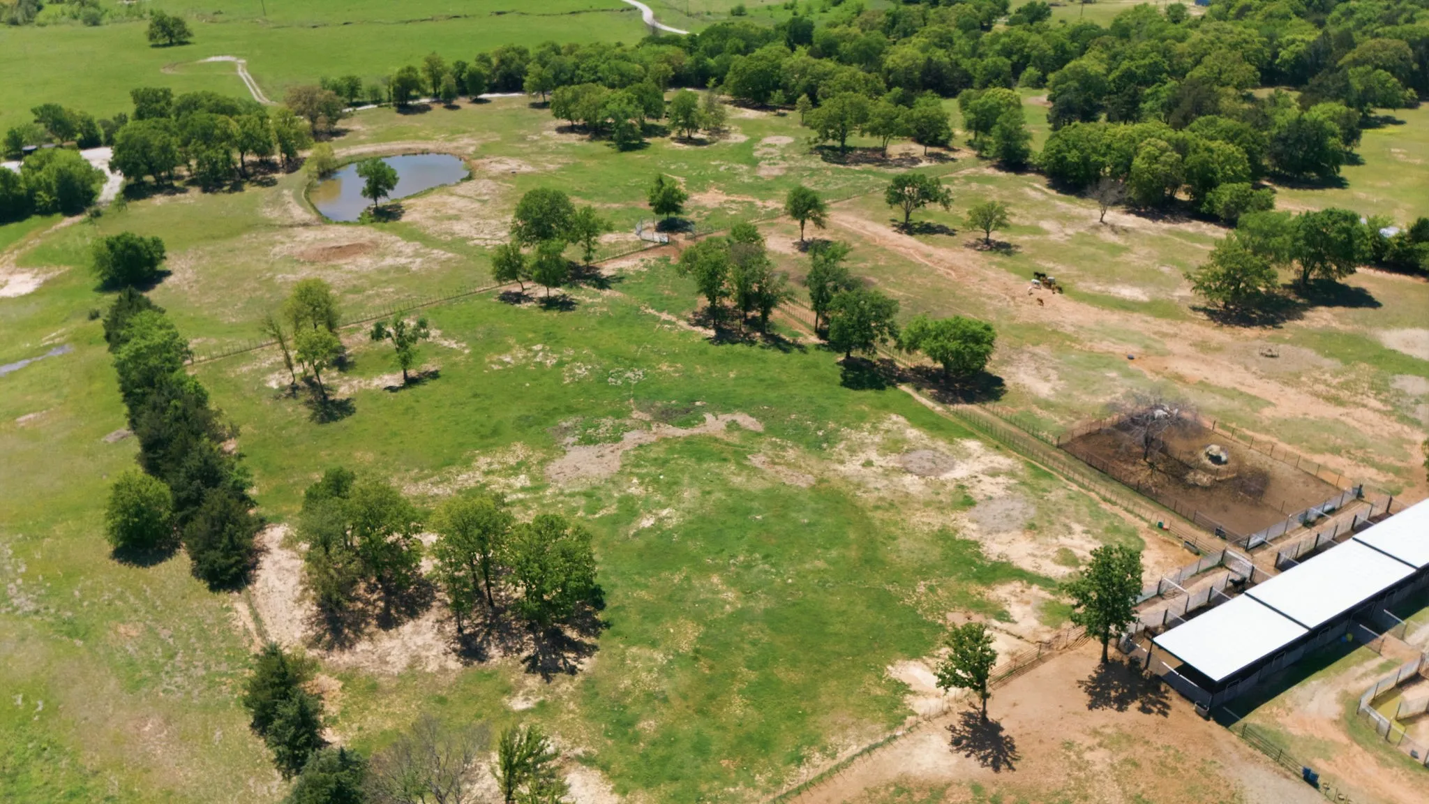 Improved Land For Sale in Cooke County , 10636 Fm 902, Collinsville, Texas 76233, 0, 0, Garage spaces, 0 Sqft, built in 1950, Price $1,000,000, mls#21365598, Real Estate Agent in Collinsville, Homes For Sale in Cooke county, Homes For Sale in Collinsville, Realtor in Collinsville Texas, Real Estate Brokerage Independent Realty Texas, Luminita Cordes Realtor