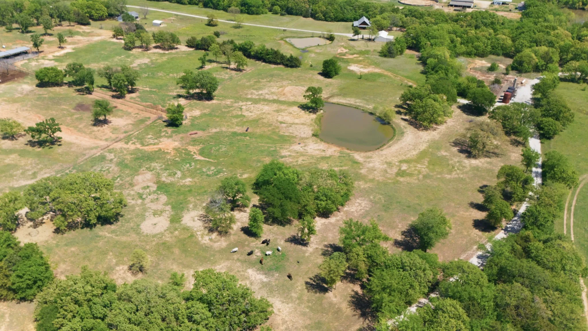 Improved Land For Sale in Cooke County , 10636 Fm 902, Collinsville, Texas 76233, 0, 0, Garage spaces, 0 Sqft, built in 1950, Price $1,000,000, mls#21365598, Real Estate Agent in Collinsville, Homes For Sale in Cooke county, Homes For Sale in Collinsville, Realtor in Collinsville Texas, Real Estate Brokerage Independent Realty Texas, Luminita Cordes Realtor