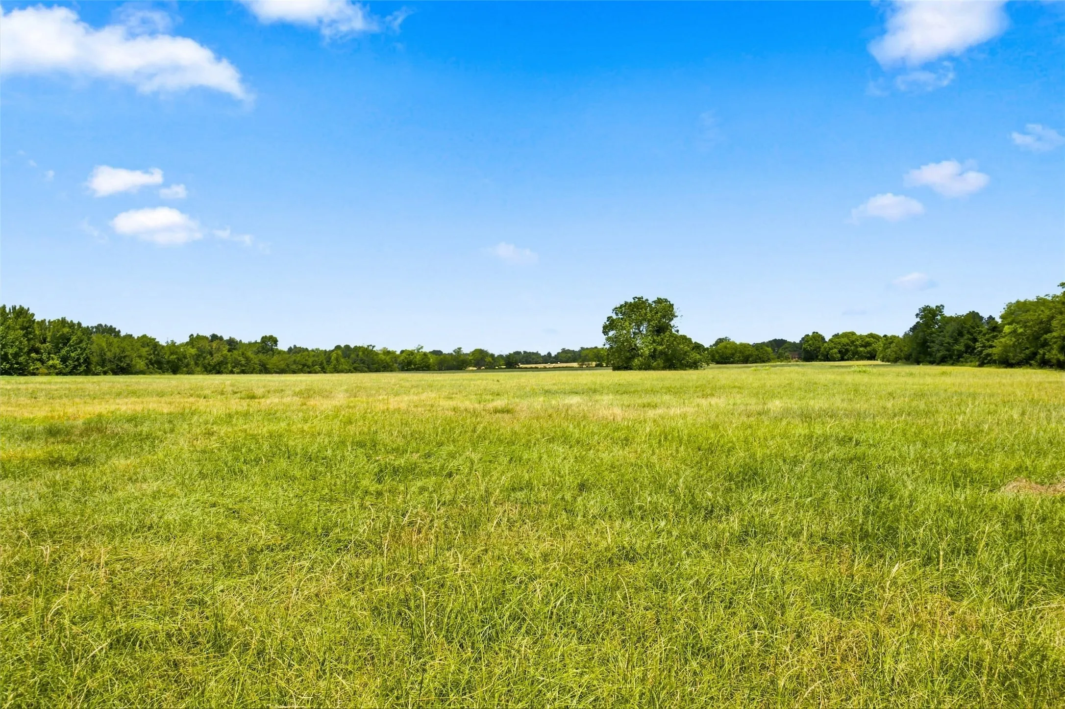 Unimproved Land For Sale in Hopkins County , TBD Farm Road 1567, Como, Texas 75431, 0, 0, Garage spaces, 0 Sqft, built in 0, mls#21364942, Real Estate Agent in Como, Homes For Sale in Hopkins county, Homes For Sale in Como, Realtor in Como Texas, Real Estate Brokerage Independent Realty Texas, Luminita Cordes Realtor