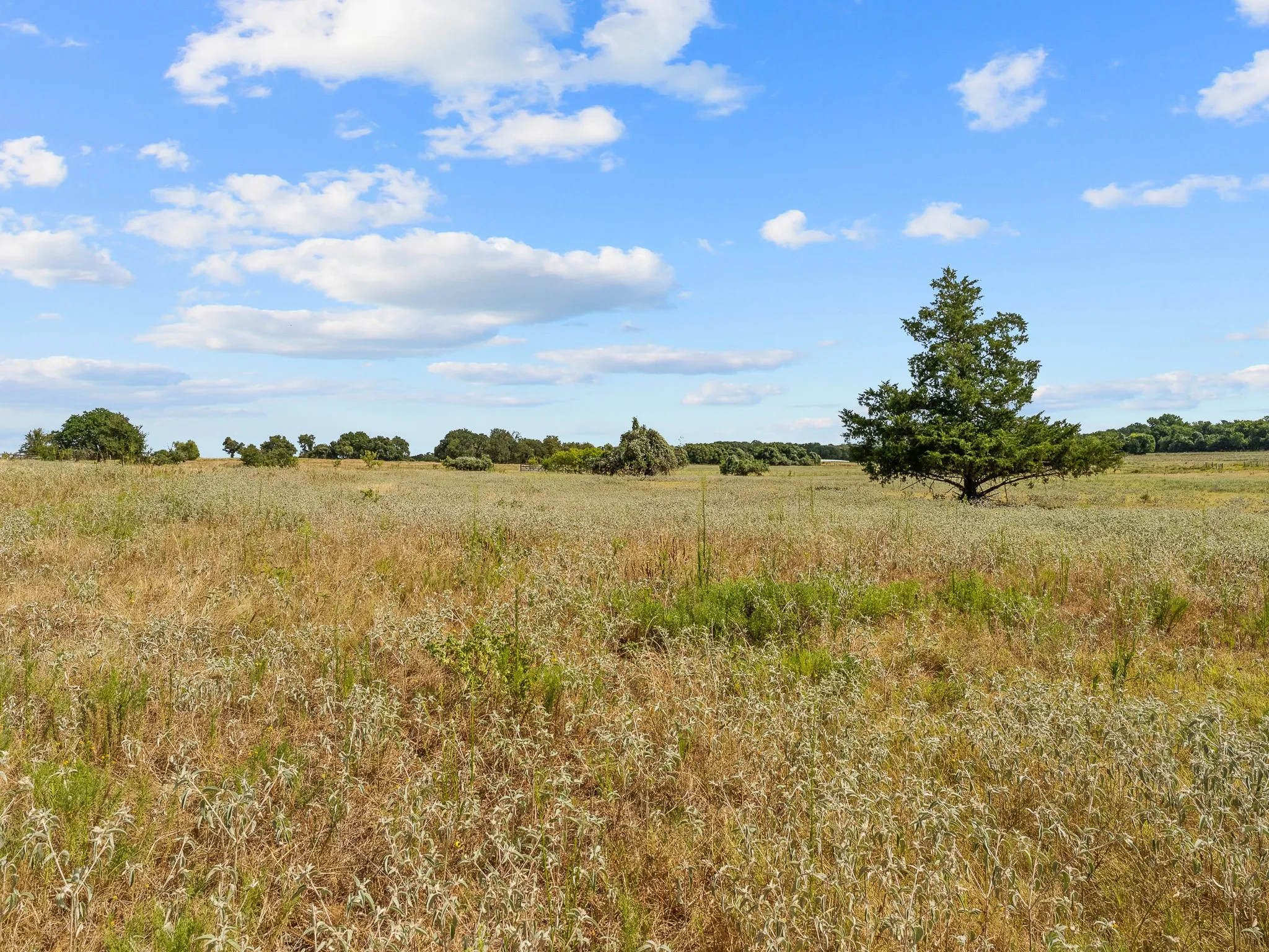 Farm For Sale in Wise County , 1037 Private Road 4481, Decatur, Texas 76234, 2 Bedroom, 3 Bathroom, Garage spaces, 1,678 Sqft, built in 2008, mls#21362065, Real Estate Agent in Decatur, Homes For Sale in Wise county, Homes For Sale in Decatur, Realtor in Decatur Texas, Real Estate Brokerage Independent Realty Texas, Luminita Cordes Realtor