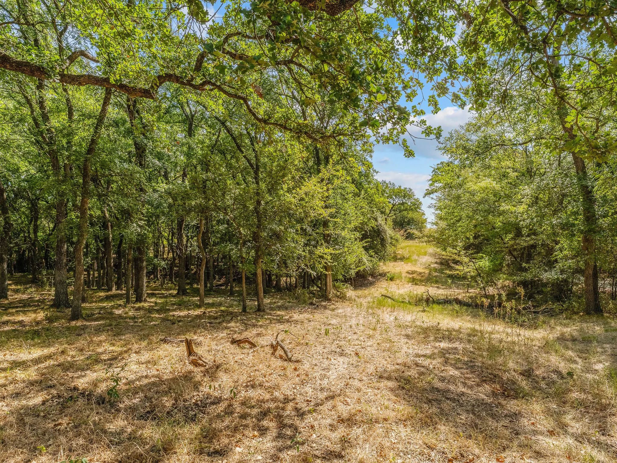 Farm For Sale in Wise County , 1037 Private Road 4481, Decatur, Texas 76234, 2 Bedroom, 3 Bathroom, Garage spaces, 1,678 Sqft, built in 2008, mls#21362065, Real Estate Agent in Decatur, Homes For Sale in Wise county, Homes For Sale in Decatur, Realtor in Decatur Texas, Real Estate Brokerage Independent Realty Texas, Luminita Cordes Realtor
