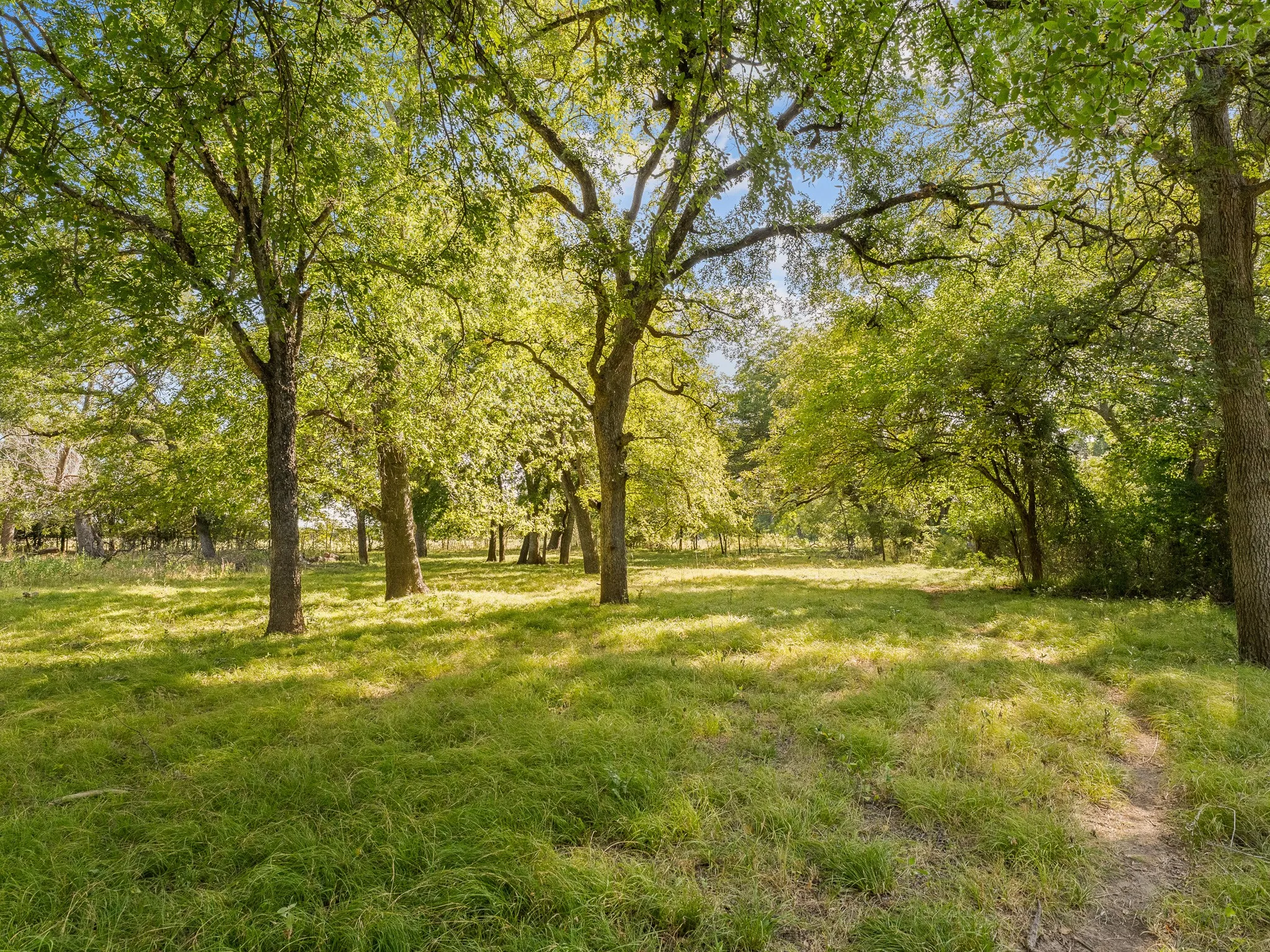 Farm For Sale in Wise County , 1037 Private Road 4481, Decatur, Texas 76234, 2 Bedroom, 3 Bathroom, Garage spaces, 1,678 Sqft, built in 2008, mls#21362065, Real Estate Agent in Decatur, Homes For Sale in Wise county, Homes For Sale in Decatur, Realtor in Decatur Texas, Real Estate Brokerage Independent Realty Texas, Luminita Cordes Realtor