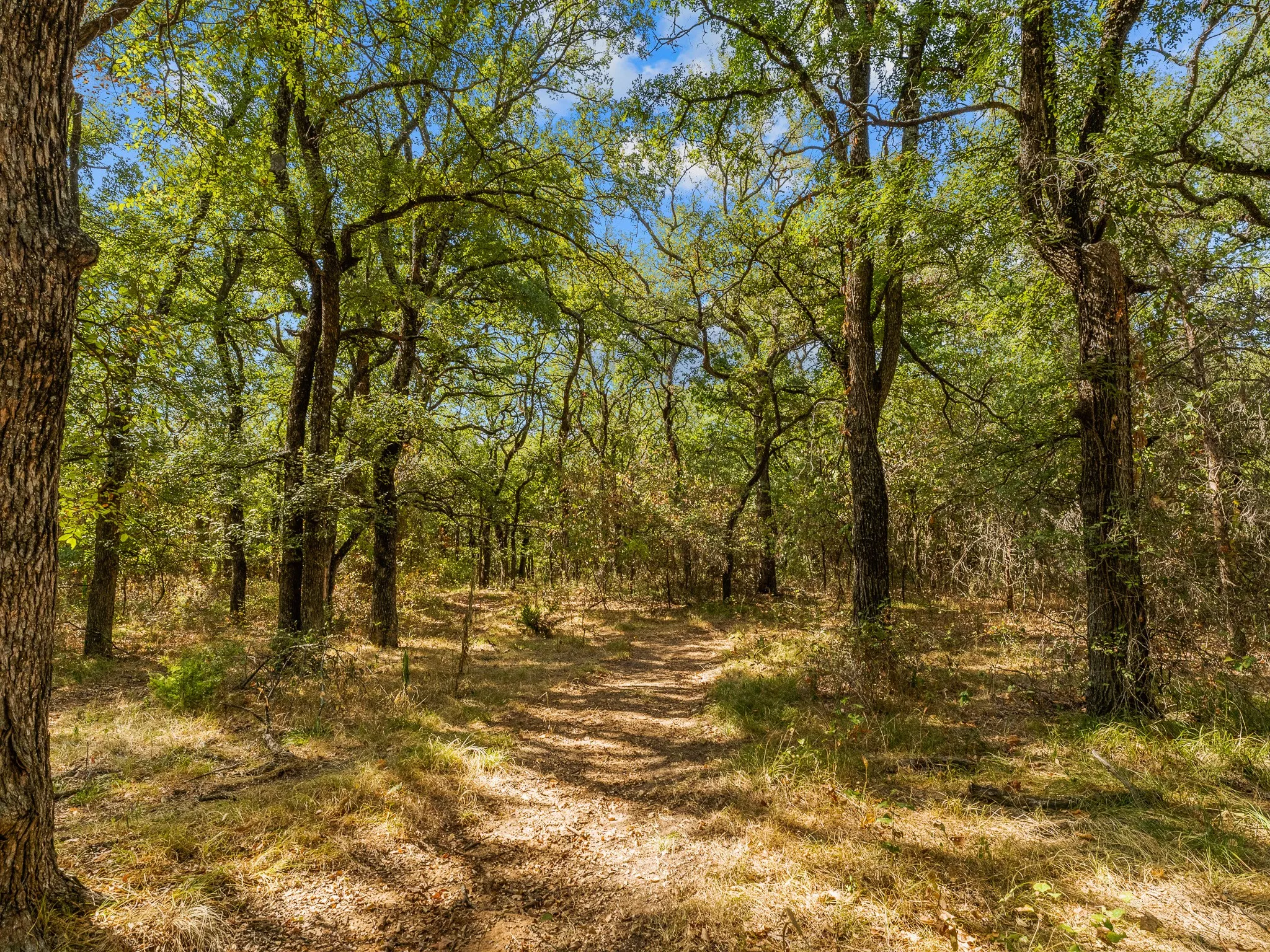 Farm For Sale in Wise County , 1037 Private Road 4481, Decatur, Texas 76234, 2 Bedroom, 3 Bathroom, Garage spaces, 1,678 Sqft, built in 2008, mls#21362065, Real Estate Agent in Decatur, Homes For Sale in Wise county, Homes For Sale in Decatur, Realtor in Decatur Texas, Real Estate Brokerage Independent Realty Texas, Luminita Cordes Realtor
