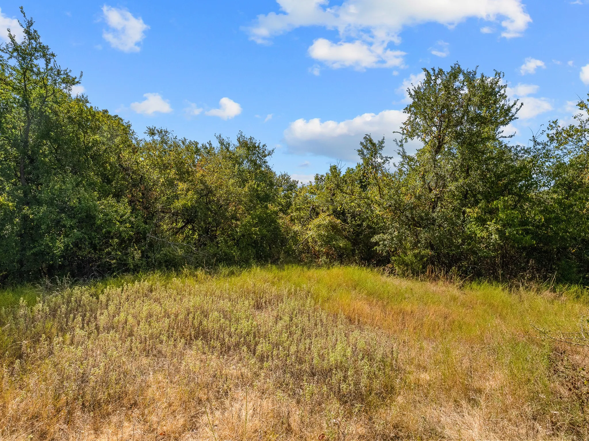 Farm For Sale in Wise County , 1037 Private Road 4481, Decatur, Texas 76234, 2 Bedroom, 3 Bathroom, Garage spaces, 1,678 Sqft, built in 2008, mls#21362065, Real Estate Agent in Decatur, Homes For Sale in Wise county, Homes For Sale in Decatur, Realtor in Decatur Texas, Real Estate Brokerage Independent Realty Texas, Luminita Cordes Realtor