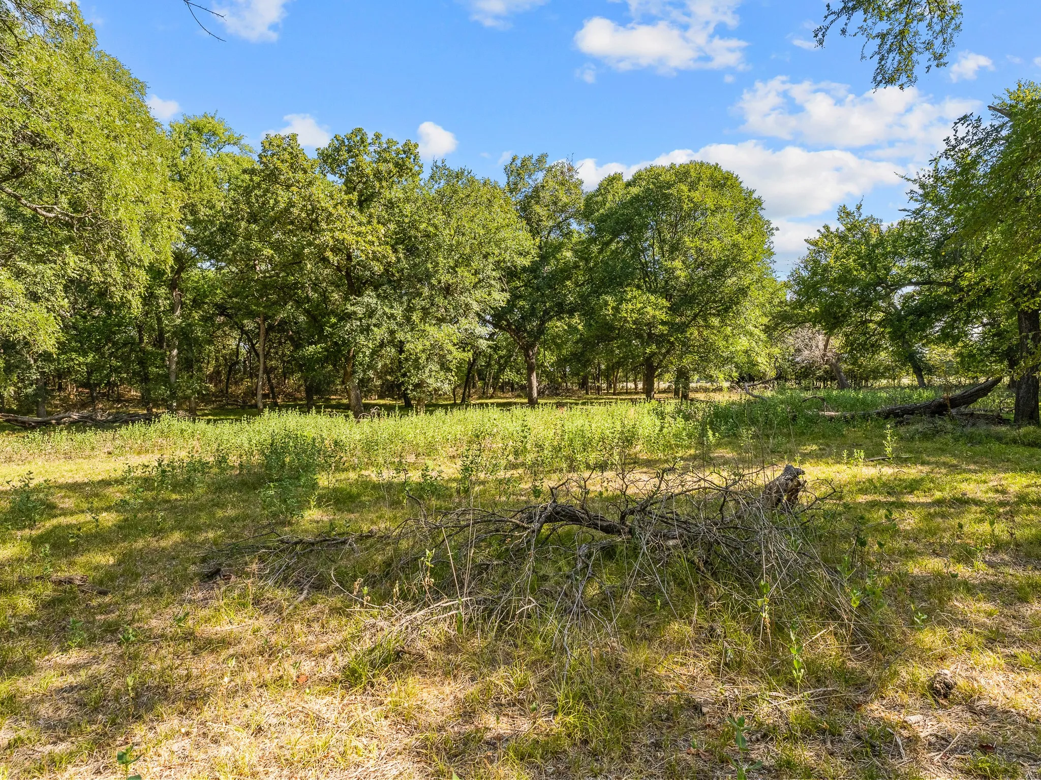 Farm For Sale in Wise County , 1037 Private Road 4481, Decatur, Texas 76234, 2 Bedroom, 3 Bathroom, Garage spaces, 1,678 Sqft, built in 2008, mls#21362065, Real Estate Agent in Decatur, Homes For Sale in Wise county, Homes For Sale in Decatur, Realtor in Decatur Texas, Real Estate Brokerage Independent Realty Texas, Luminita Cordes Realtor