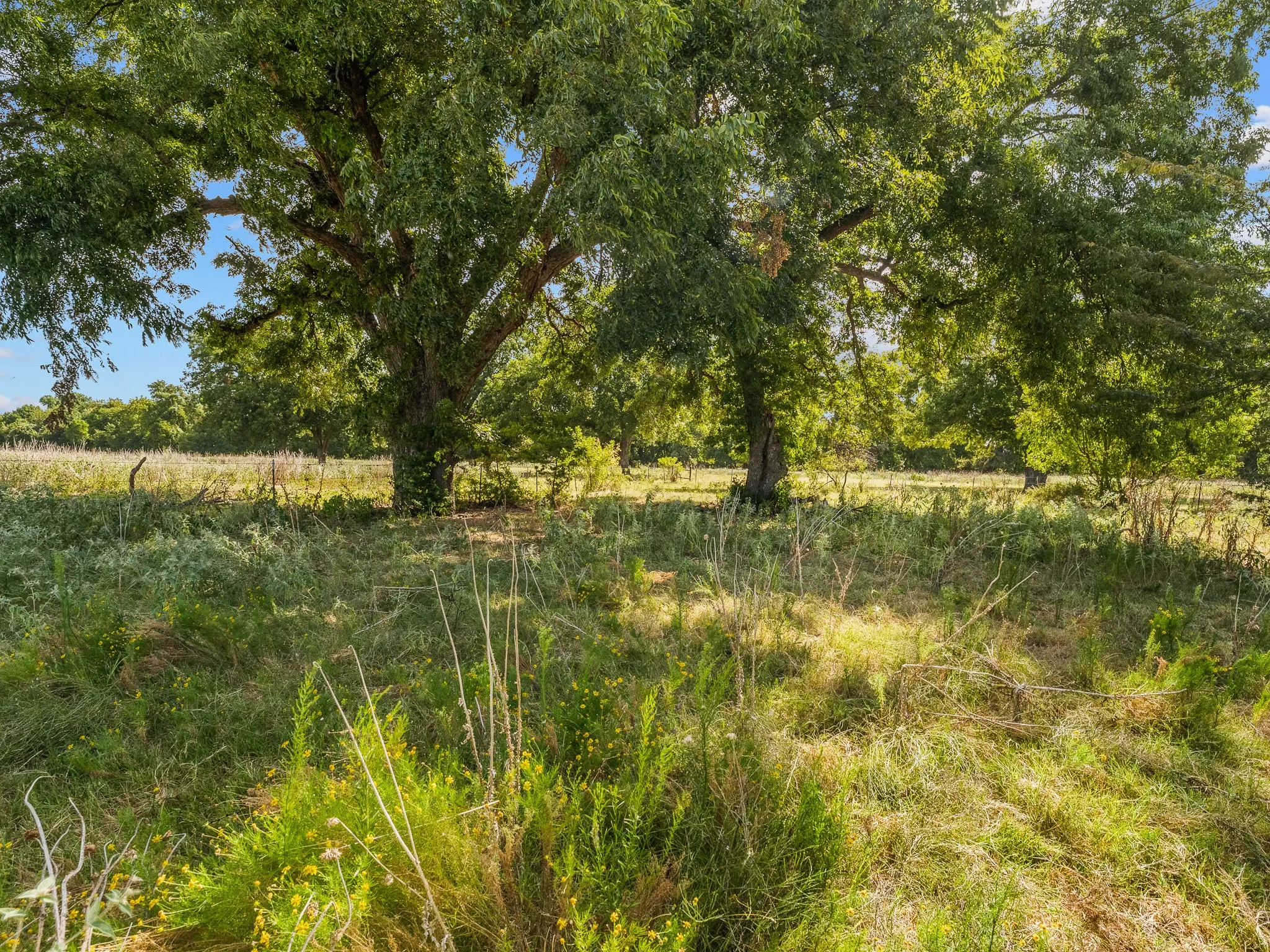 Farm For Sale in Wise County , 1037 Private Road 4481, Decatur, Texas 76234, 2 Bedroom, 3 Bathroom, Garage spaces, 1,678 Sqft, built in 2008, mls#21362065, Real Estate Agent in Decatur, Homes For Sale in Wise county, Homes For Sale in Decatur, Realtor in Decatur Texas, Real Estate Brokerage Independent Realty Texas, Luminita Cordes Realtor