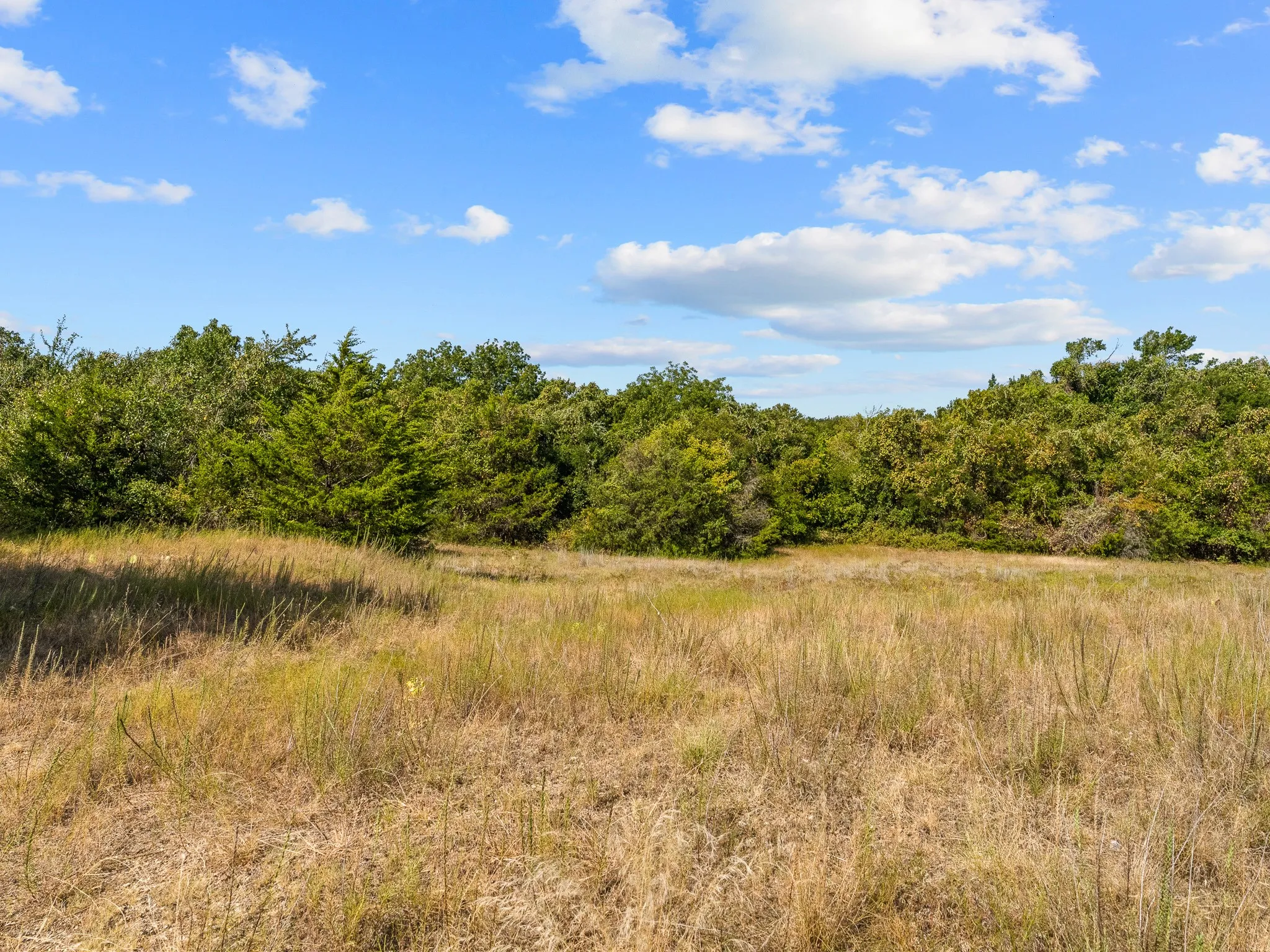Farm For Sale in Wise County , 1037 Private Road 4481, Decatur, Texas 76234, 2 Bedroom, 3 Bathroom, Garage spaces, 1,678 Sqft, built in 2008, mls#21362065, Real Estate Agent in Decatur, Homes For Sale in Wise county, Homes For Sale in Decatur, Realtor in Decatur Texas, Real Estate Brokerage Independent Realty Texas, Luminita Cordes Realtor