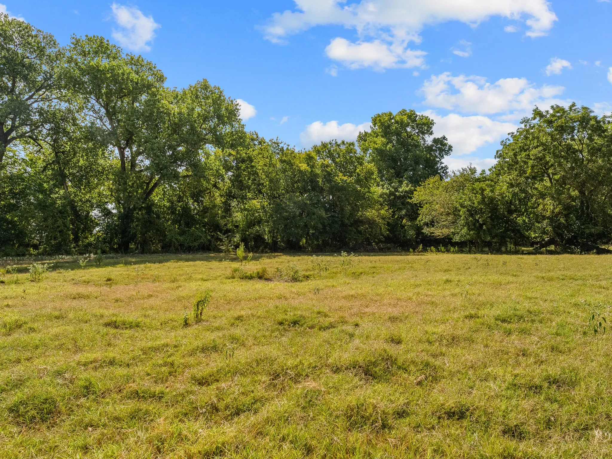 Farm For Sale in Wise County , 1037 Private Road 4481, Decatur, Texas 76234, 2 Bedroom, 3 Bathroom, Garage spaces, 1,678 Sqft, built in 2008, mls#21362065, Real Estate Agent in Decatur, Homes For Sale in Wise county, Homes For Sale in Decatur, Realtor in Decatur Texas, Real Estate Brokerage Independent Realty Texas, Luminita Cordes Realtor