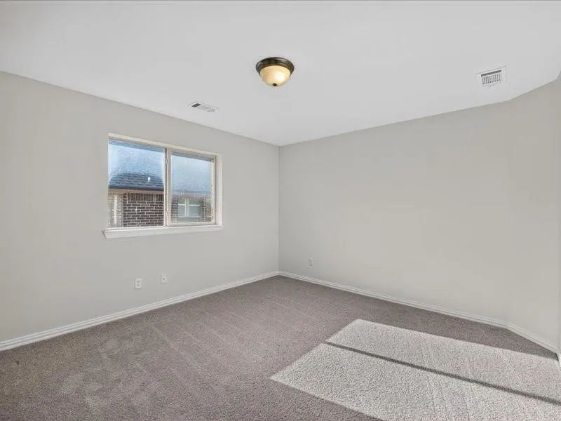 Neutral wall paint, flush mount ceiling light, carpet flooring, and a single window