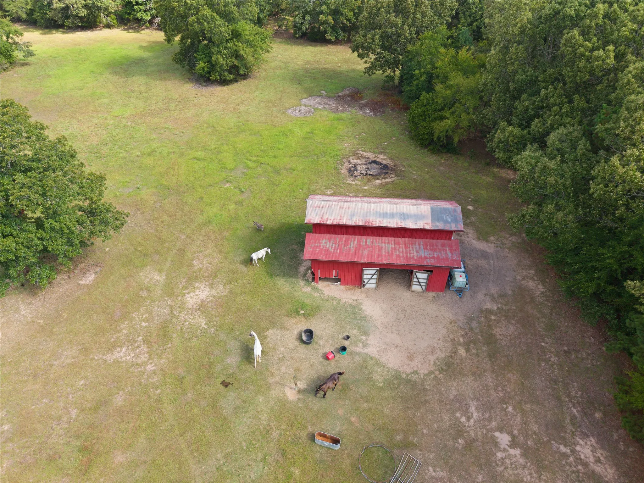 Single Family Residence For Sale in Henderson County , 7581 E Lake Drive, Murchison, Texas 75778, 4 Bedroom, 2 Bathroom, 2 Garage spaces, 2,380 Sqft, built in 2013, mls#21363898, Real Estate Agent in Murchison, Homes For Sale in Henderson county, Homes For Sale in Murchison, Realtor in Murchison Texas, Real Estate Brokerage Independent Realty Texas, Luminita Cordes Realtor