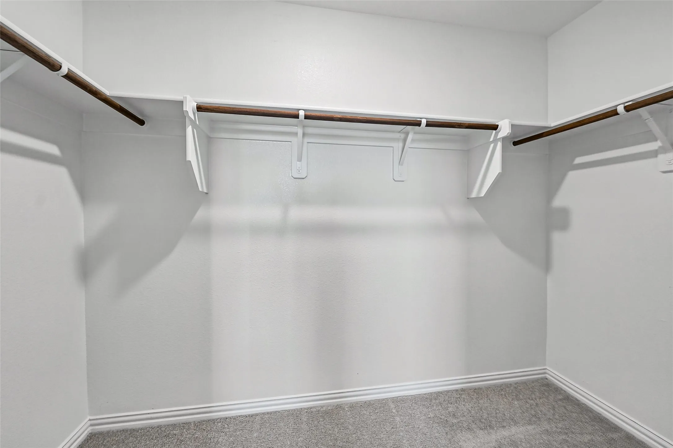 Walk-in closet featuring carpet flooring, crisp white walls, and built-in shelving with hanging rods
