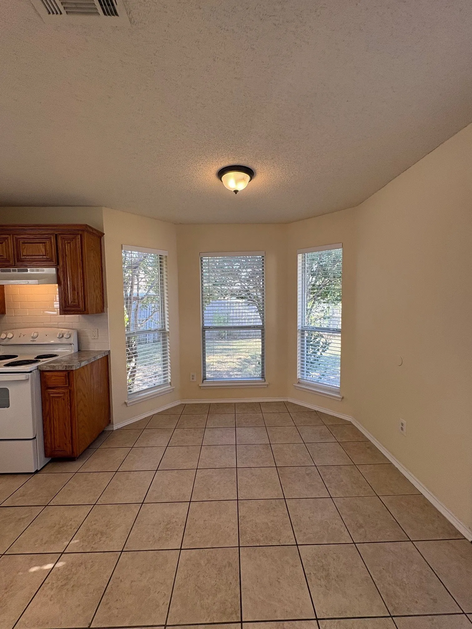 Single Family Residence For Rent in Tarrant County , 8008 Mourning Dove Drive, Arlington, Texas 76002, 4 Bedroom, 2 Bathroom, 2 Garage spaces, 1,804 Sqft, built in 2001, mls#21365669, Real Estate Agent in Arlington, Homes For Rent in Tarrant county, Homes For Rent in Arlington, Realtor in Arlington Texas, Real Estate Brokerage Independent Realty Texas, Luminita Cordes Realtor