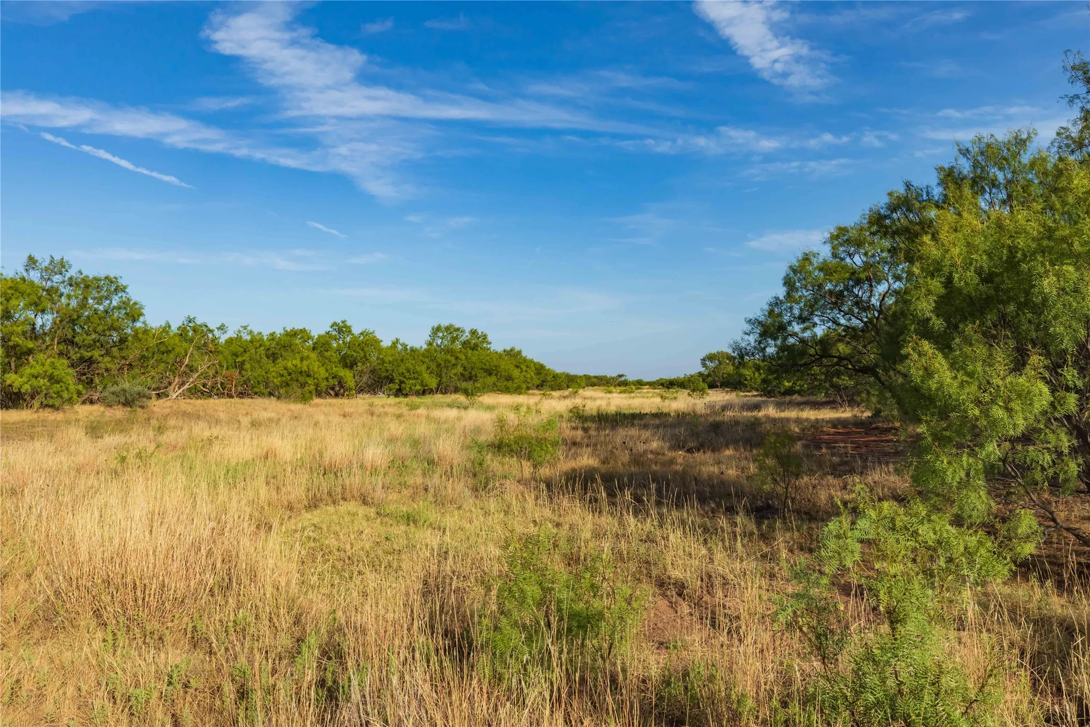 Unimproved Land For Sale in Jones County , oo FM 1226, Stamford, Texas 79553, 0, 0, Garage spaces, 0 Sqft, built in 0, mls#21365653, Real Estate Agent in Stamford, Homes For Sale in Jones county, Homes For Sale in Stamford, Realtor in Stamford Texas, Real Estate Brokerage Independent Realty Texas, Luminita Cordes Realtor