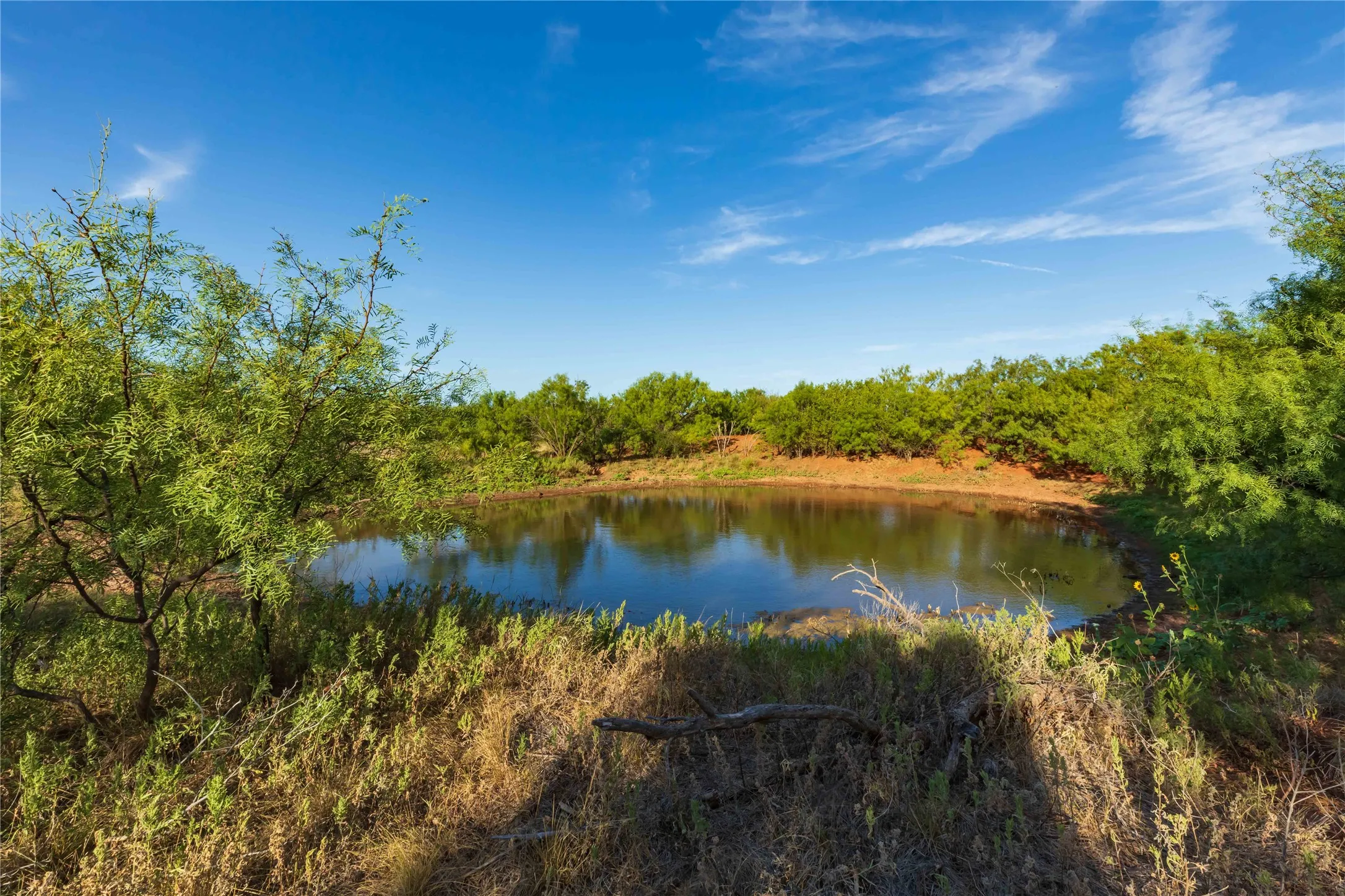 Unimproved Land For Sale in Jones County , oo FM 1226, Stamford, Texas 79553, 0, 0, Garage spaces, 0 Sqft, built in 0, mls#21365653, Real Estate Agent in Stamford, Homes For Sale in Jones county, Homes For Sale in Stamford, Realtor in Stamford Texas, Real Estate Brokerage Independent Realty Texas, Luminita Cordes Realtor