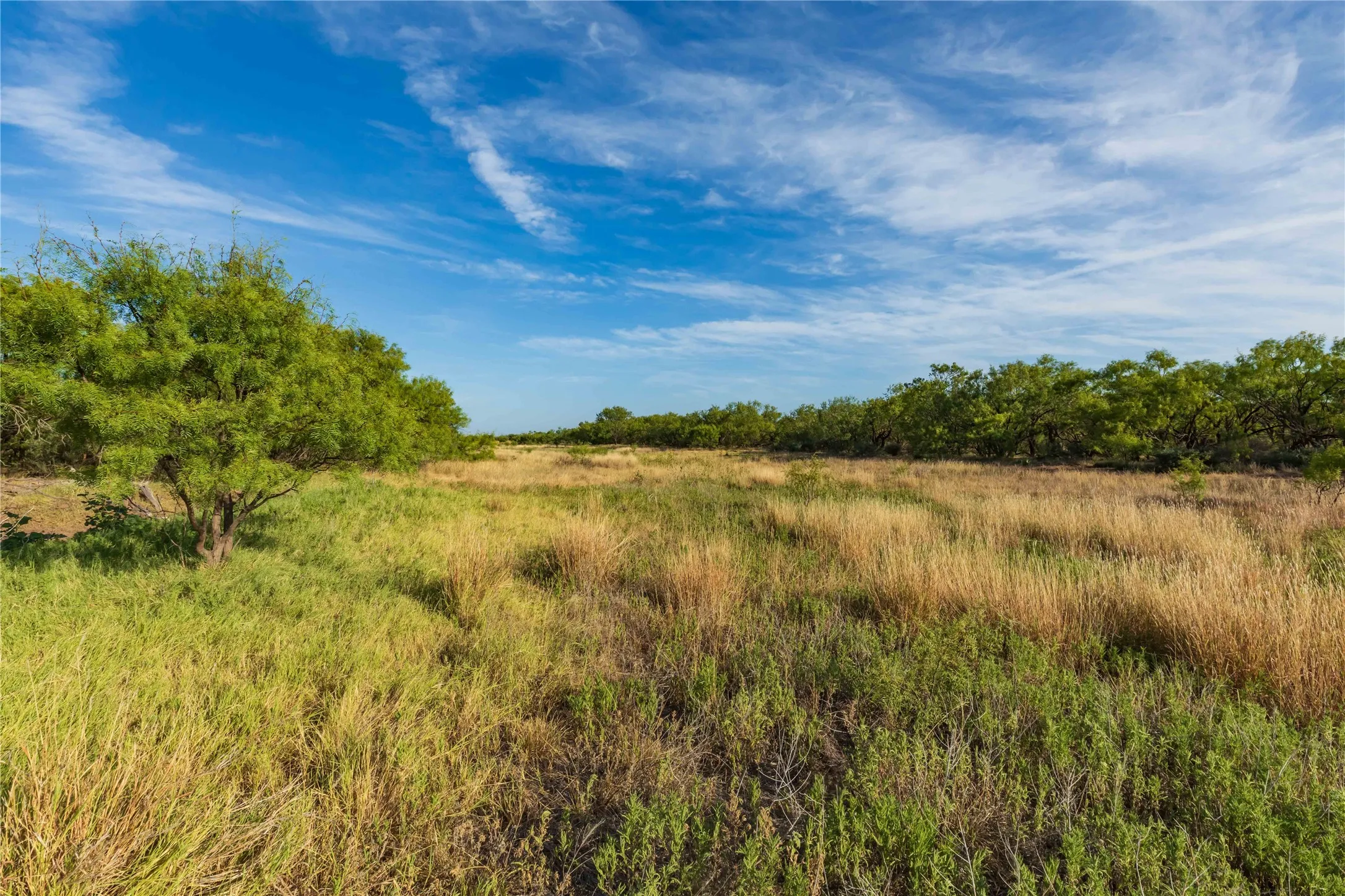 Unimproved Land For Sale in Jones County , oo FM 1226, Stamford, Texas 79553, 0, 0, Garage spaces, 0 Sqft, built in 0, mls#21365653, Real Estate Agent in Stamford, Homes For Sale in Jones county, Homes For Sale in Stamford, Realtor in Stamford Texas, Real Estate Brokerage Independent Realty Texas, Luminita Cordes Realtor