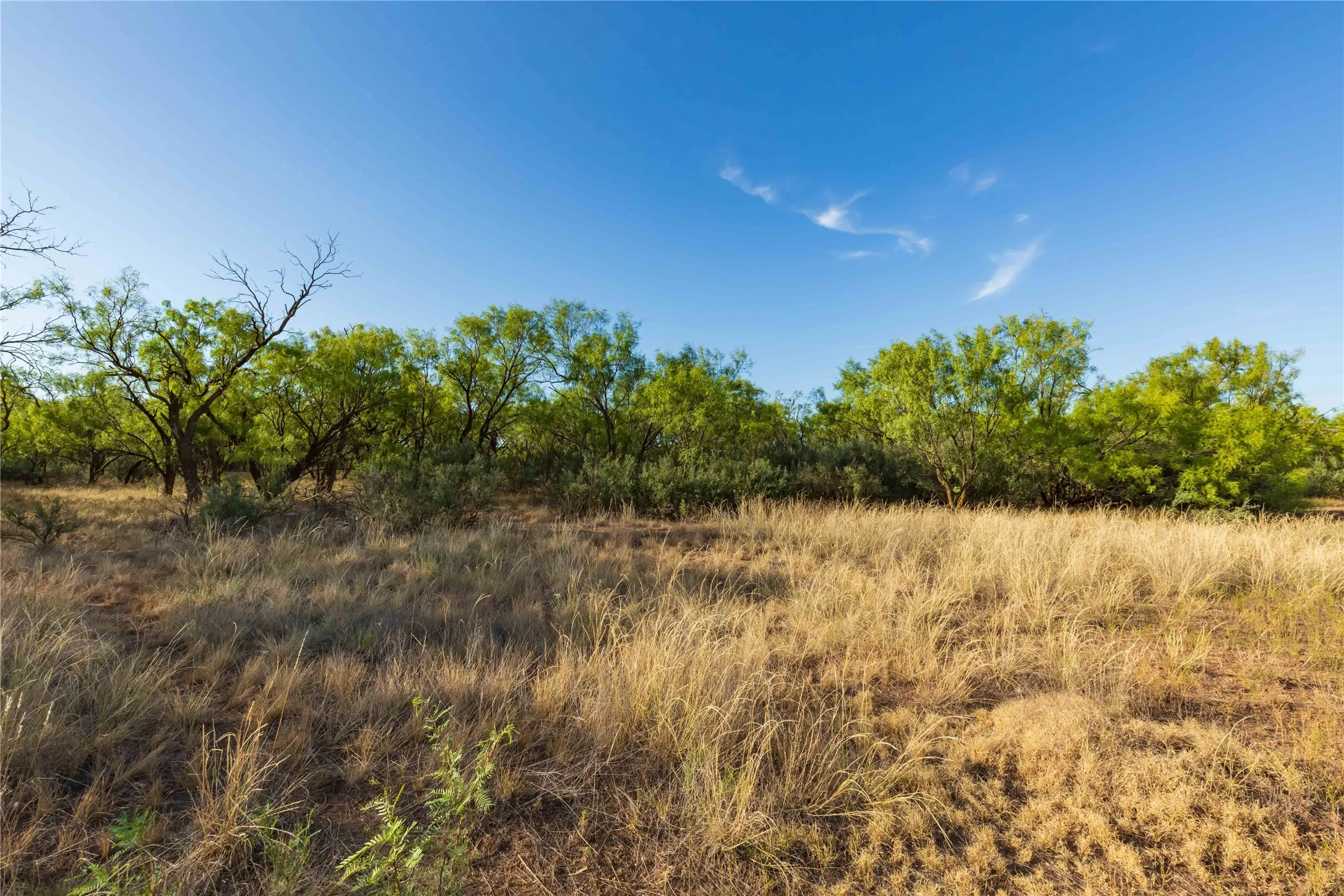 Unimproved Land For Sale in Jones County , oo FM 1226, Stamford, Texas 79553, 0, 0, Garage spaces, 0 Sqft, built in 0, mls#21365653, Real Estate Agent in Stamford, Homes For Sale in Jones county, Homes For Sale in Stamford, Realtor in Stamford Texas, Real Estate Brokerage Independent Realty Texas, Luminita Cordes Realtor
