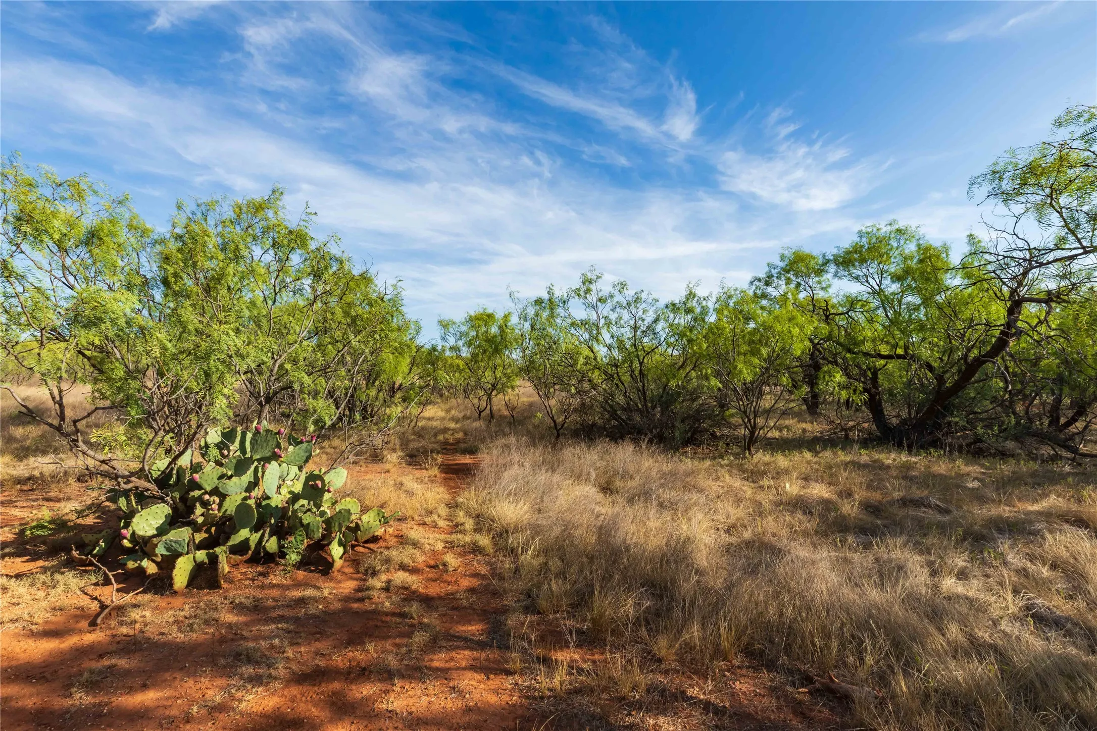 Unimproved Land For Sale in Jones County , oo FM 1226, Stamford, Texas 79553, 0, 0, Garage spaces, 0 Sqft, built in 0, mls#21365653, Real Estate Agent in Stamford, Homes For Sale in Jones county, Homes For Sale in Stamford, Realtor in Stamford Texas, Real Estate Brokerage Independent Realty Texas, Luminita Cordes Realtor