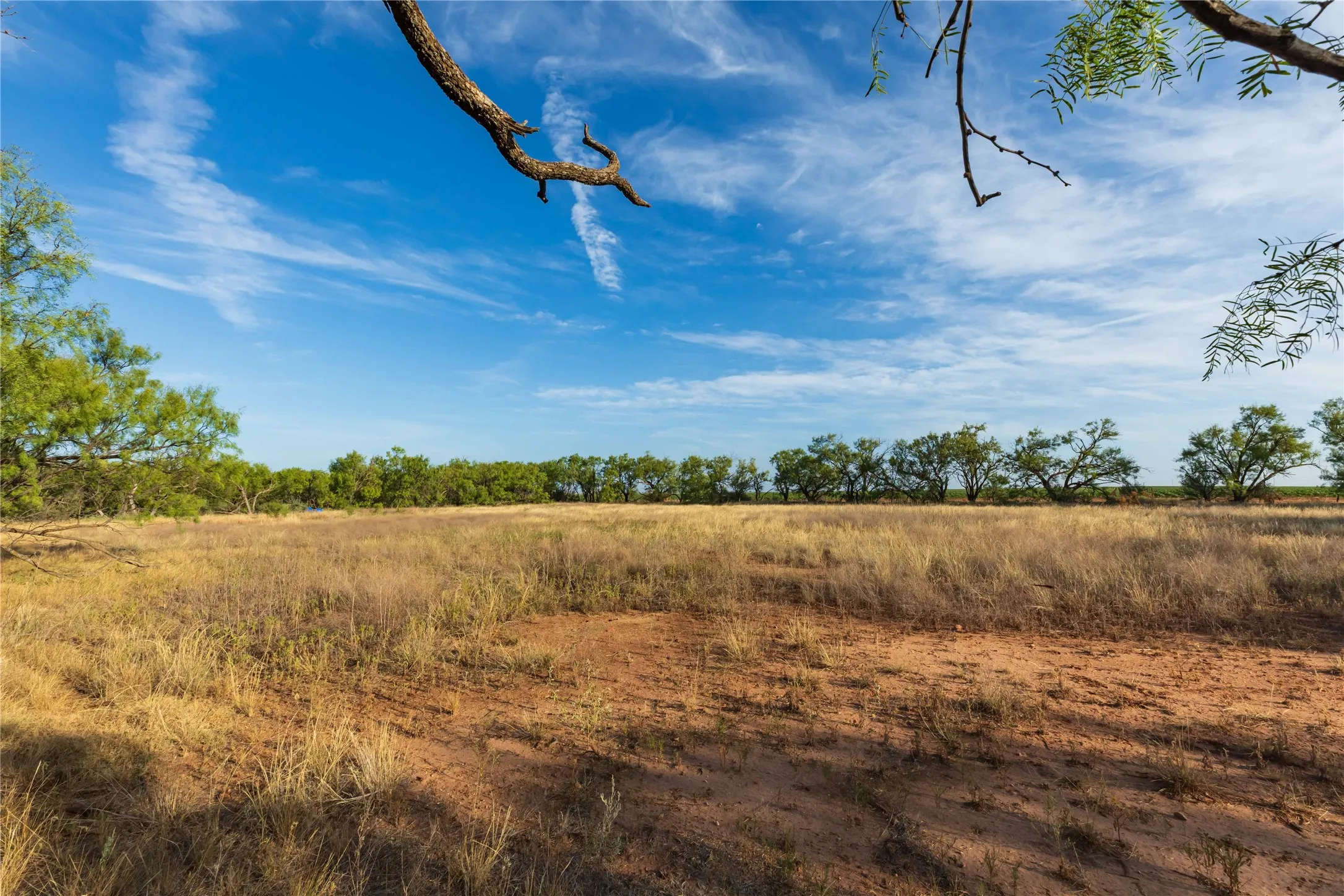 Unimproved Land For Sale in Jones County , oo FM 1226, Stamford, Texas 79553, 0, 0, Garage spaces, 0 Sqft, built in 0, mls#21365653, Real Estate Agent in Stamford, Homes For Sale in Jones county, Homes For Sale in Stamford, Realtor in Stamford Texas, Real Estate Brokerage Independent Realty Texas, Luminita Cordes Realtor