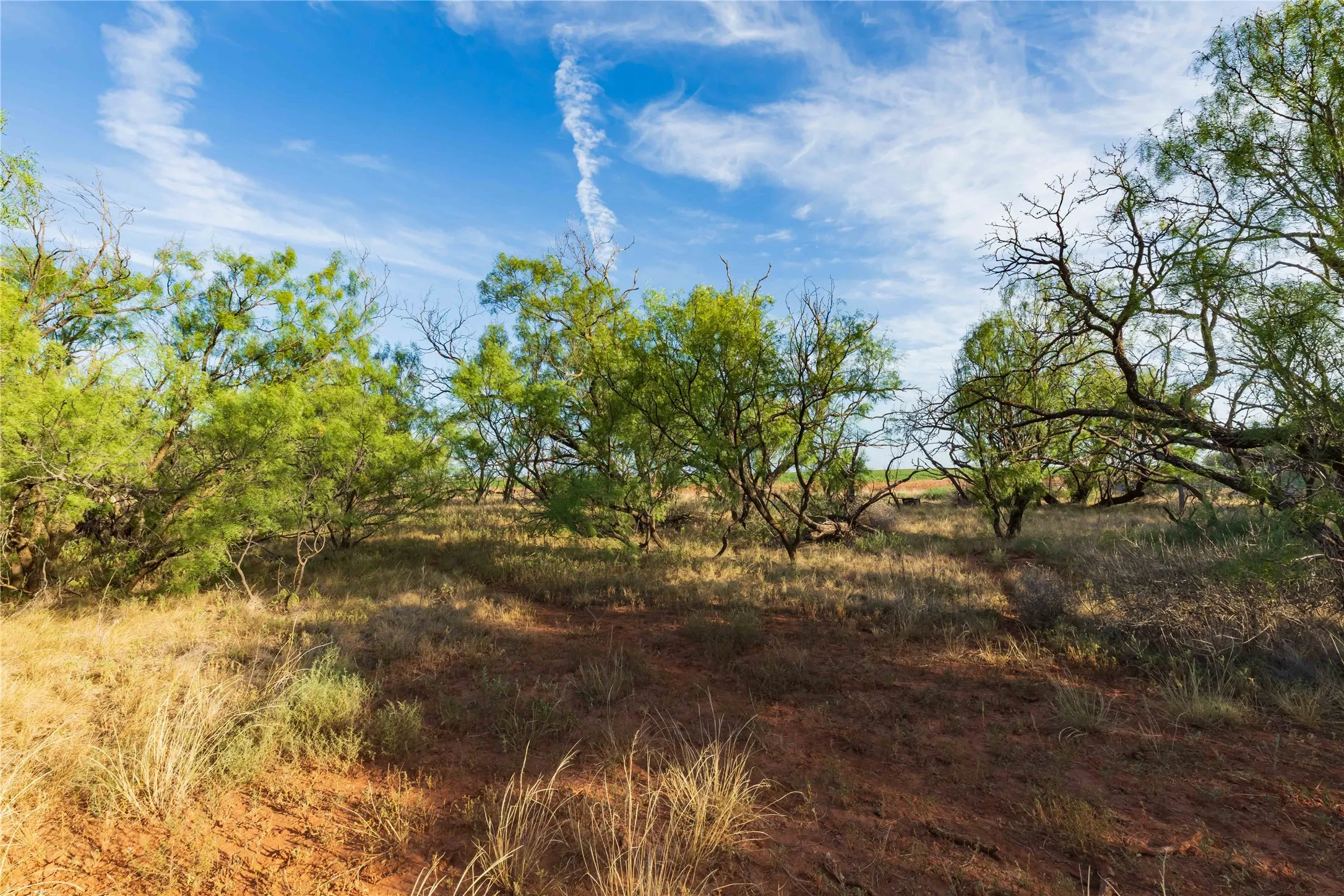 Unimproved Land For Sale in Jones County , oo FM 1226, Stamford, Texas 79553, 0, 0, Garage spaces, 0 Sqft, built in 0, mls#21365653, Real Estate Agent in Stamford, Homes For Sale in Jones county, Homes For Sale in Stamford, Realtor in Stamford Texas, Real Estate Brokerage Independent Realty Texas, Luminita Cordes Realtor