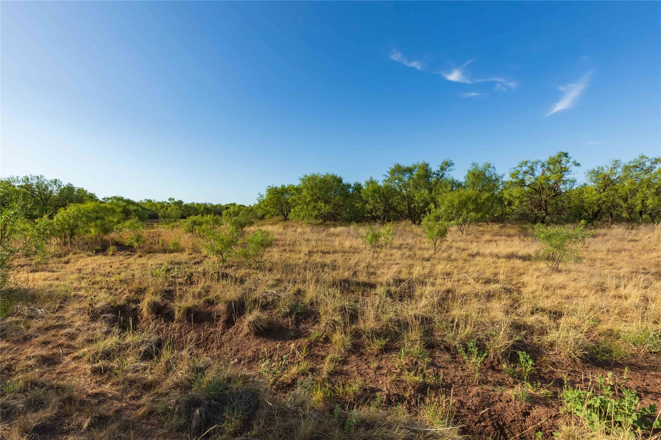 Unimproved Land For Sale in Jones County , oo FM 1226, Stamford, Texas 79553, 0, 0, Garage spaces, 0 Sqft, built in 0, mls#21365653, Real Estate Agent in Stamford, Homes For Sale in Jones county, Homes For Sale in Stamford, Realtor in Stamford Texas, Real Estate Brokerage Independent Realty Texas, Luminita Cordes Realtor