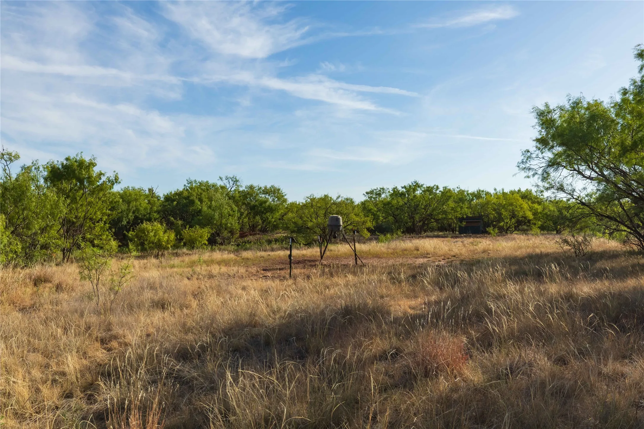 Unimproved Land For Sale in Jones County , oo FM 1226, Stamford, Texas 79553, 0, 0, Garage spaces, 0 Sqft, built in 0, mls#21365653, Real Estate Agent in Stamford, Homes For Sale in Jones county, Homes For Sale in Stamford, Realtor in Stamford Texas, Real Estate Brokerage Independent Realty Texas, Luminita Cordes Realtor