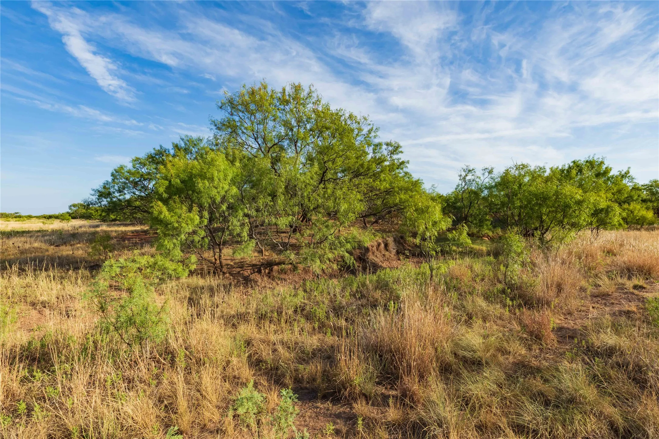 Unimproved Land For Sale in Jones County , oo FM 1226, Stamford, Texas 79553, 0, 0, Garage spaces, 0 Sqft, built in 0, mls#21365653, Real Estate Agent in Stamford, Homes For Sale in Jones county, Homes For Sale in Stamford, Realtor in Stamford Texas, Real Estate Brokerage Independent Realty Texas, Luminita Cordes Realtor