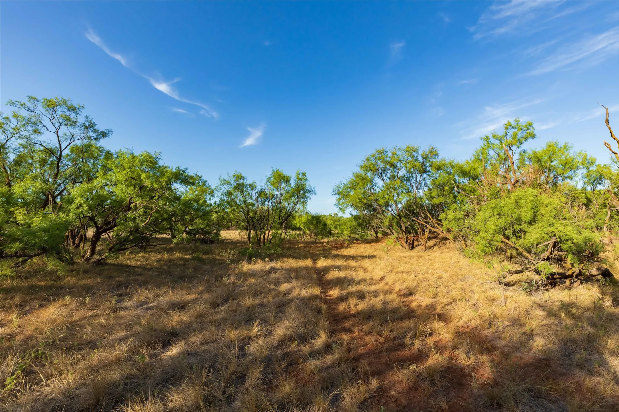 Unimproved Land For Sale in Jones County , oo FM 1226, Stamford, Texas 79553, 0, 0, Garage spaces, 0 Sqft, built in 0, mls#21365653, Real Estate Agent in Stamford, Homes For Sale in Jones county, Homes For Sale in Stamford, Realtor in Stamford Texas, Real Estate Brokerage Independent Realty Texas, Luminita Cordes Realtor