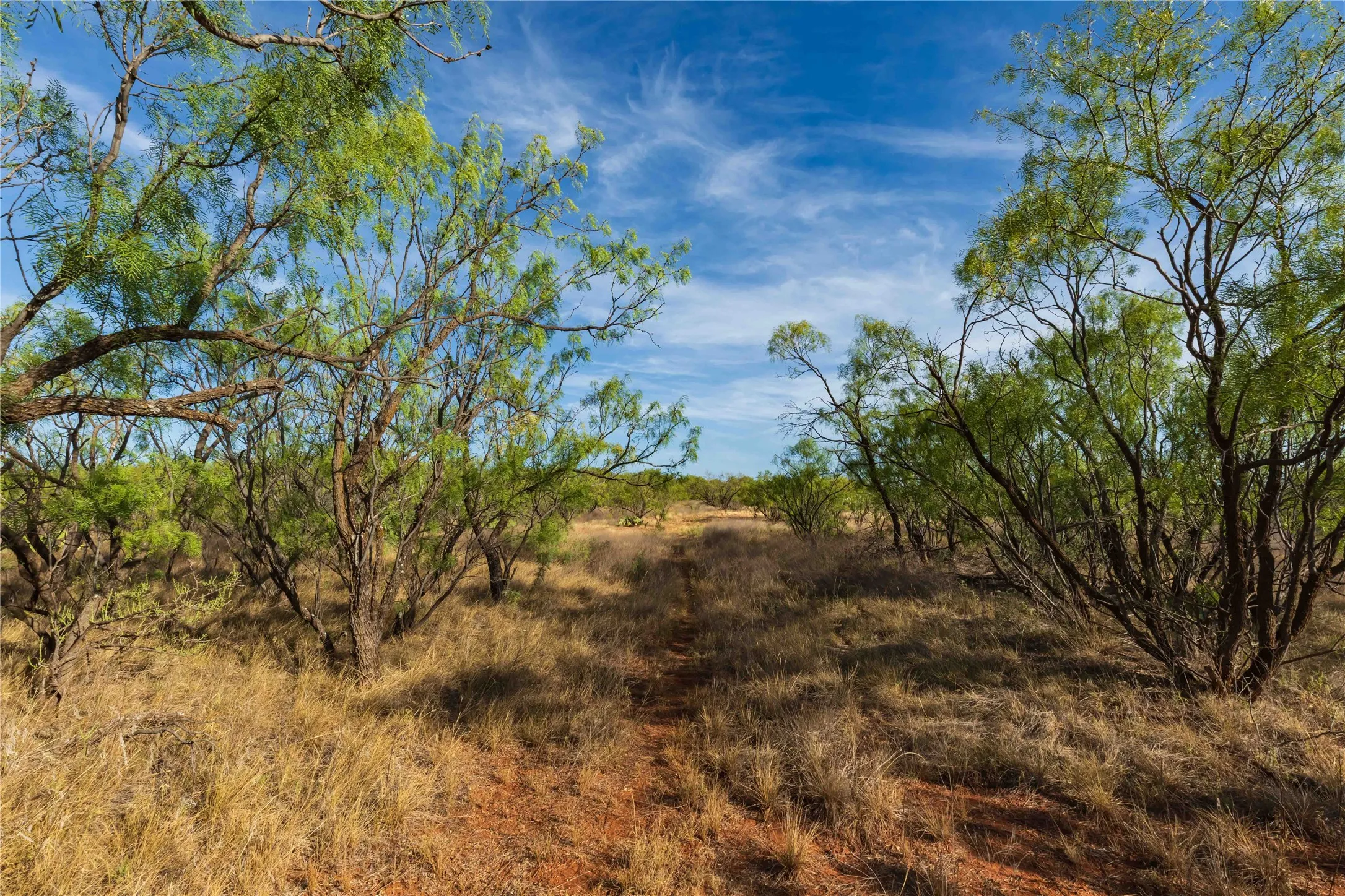 Unimproved Land For Sale in Jones County , oo FM 1226, Stamford, Texas 79553, 0, 0, Garage spaces, 0 Sqft, built in 0, mls#21365653, Real Estate Agent in Stamford, Homes For Sale in Jones county, Homes For Sale in Stamford, Realtor in Stamford Texas, Real Estate Brokerage Independent Realty Texas, Luminita Cordes Realtor