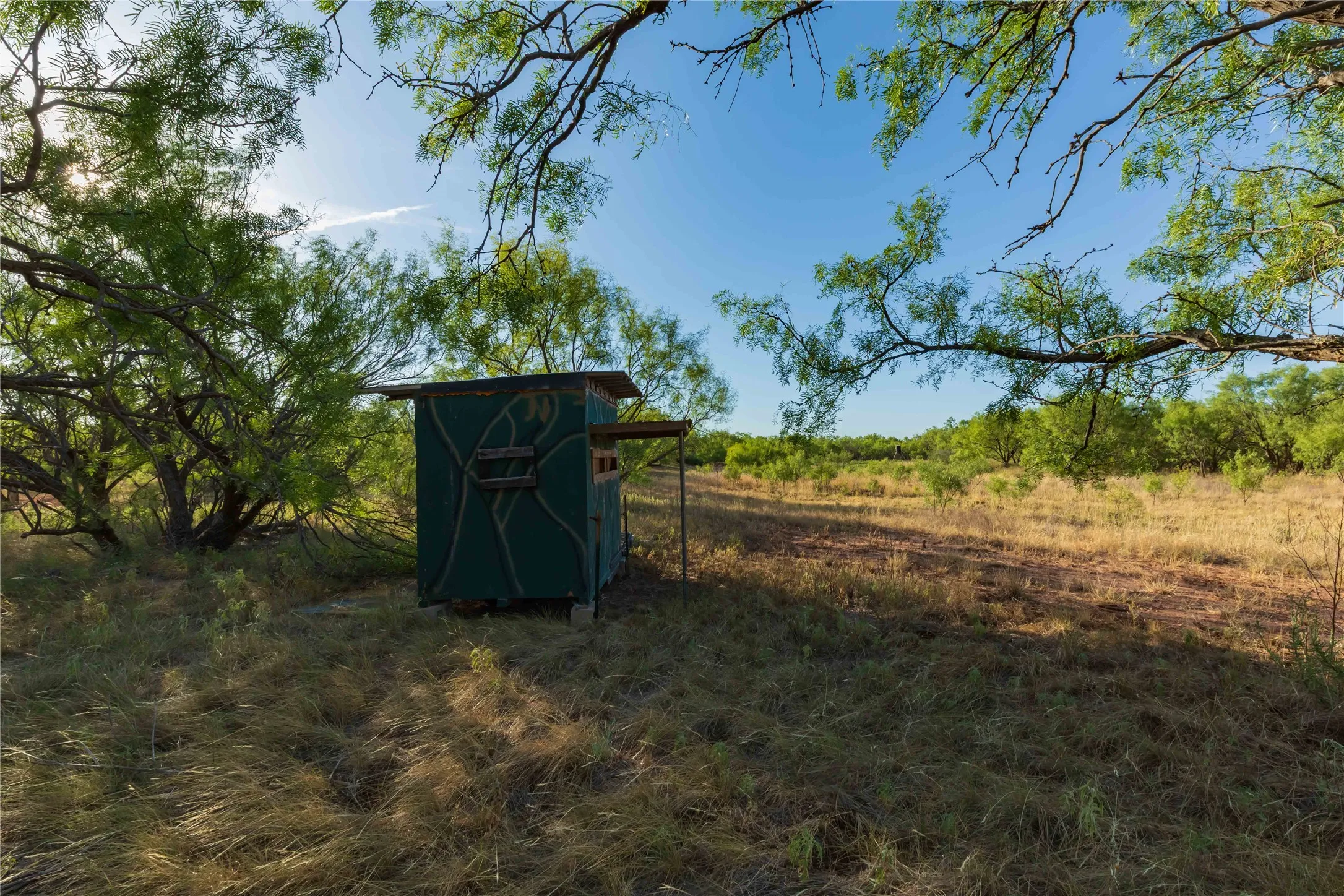 Unimproved Land For Sale in Jones County , oo FM 1226, Stamford, Texas 79553, 0, 0, Garage spaces, 0 Sqft, built in 0, mls#21365653, Real Estate Agent in Stamford, Homes For Sale in Jones county, Homes For Sale in Stamford, Realtor in Stamford Texas, Real Estate Brokerage Independent Realty Texas, Luminita Cordes Realtor