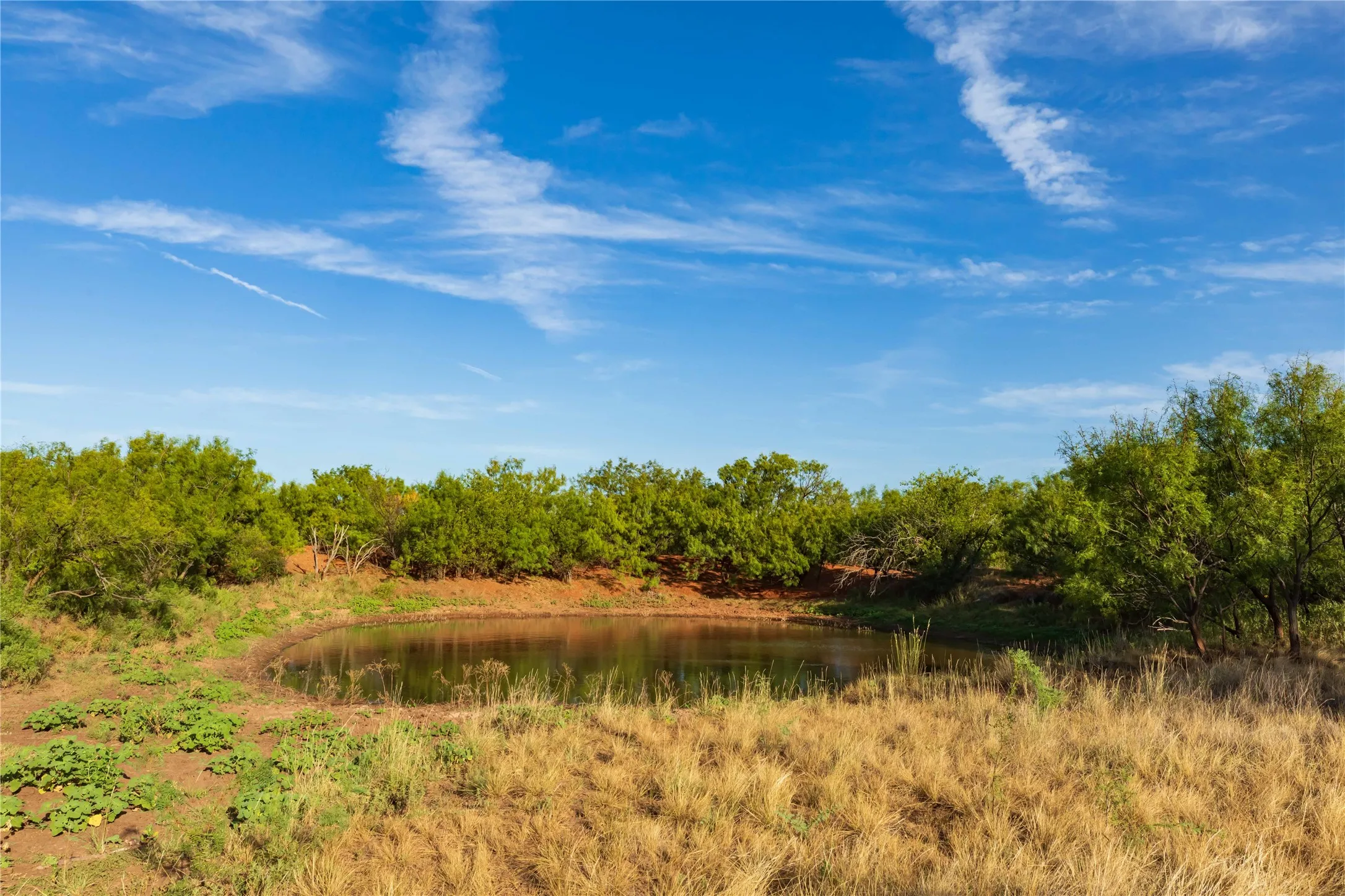 Unimproved Land For Sale in Jones County , oo FM 1226, Stamford, Texas 79553, 0, 0, Garage spaces, 0 Sqft, built in 0, mls#21365653, Real Estate Agent in Stamford, Homes For Sale in Jones county, Homes For Sale in Stamford, Realtor in Stamford Texas, Real Estate Brokerage Independent Realty Texas, Luminita Cordes Realtor
