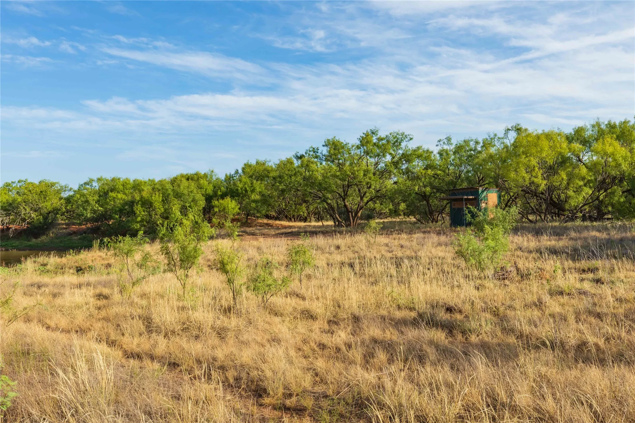 Unimproved Land For Sale in Jones County , oo FM 1226, Stamford, Texas 79553, 0, 0, Garage spaces, 0 Sqft, built in 0, mls#21365653, Real Estate Agent in Stamford, Homes For Sale in Jones county, Homes For Sale in Stamford, Realtor in Stamford Texas, Real Estate Brokerage Independent Realty Texas, Luminita Cordes Realtor