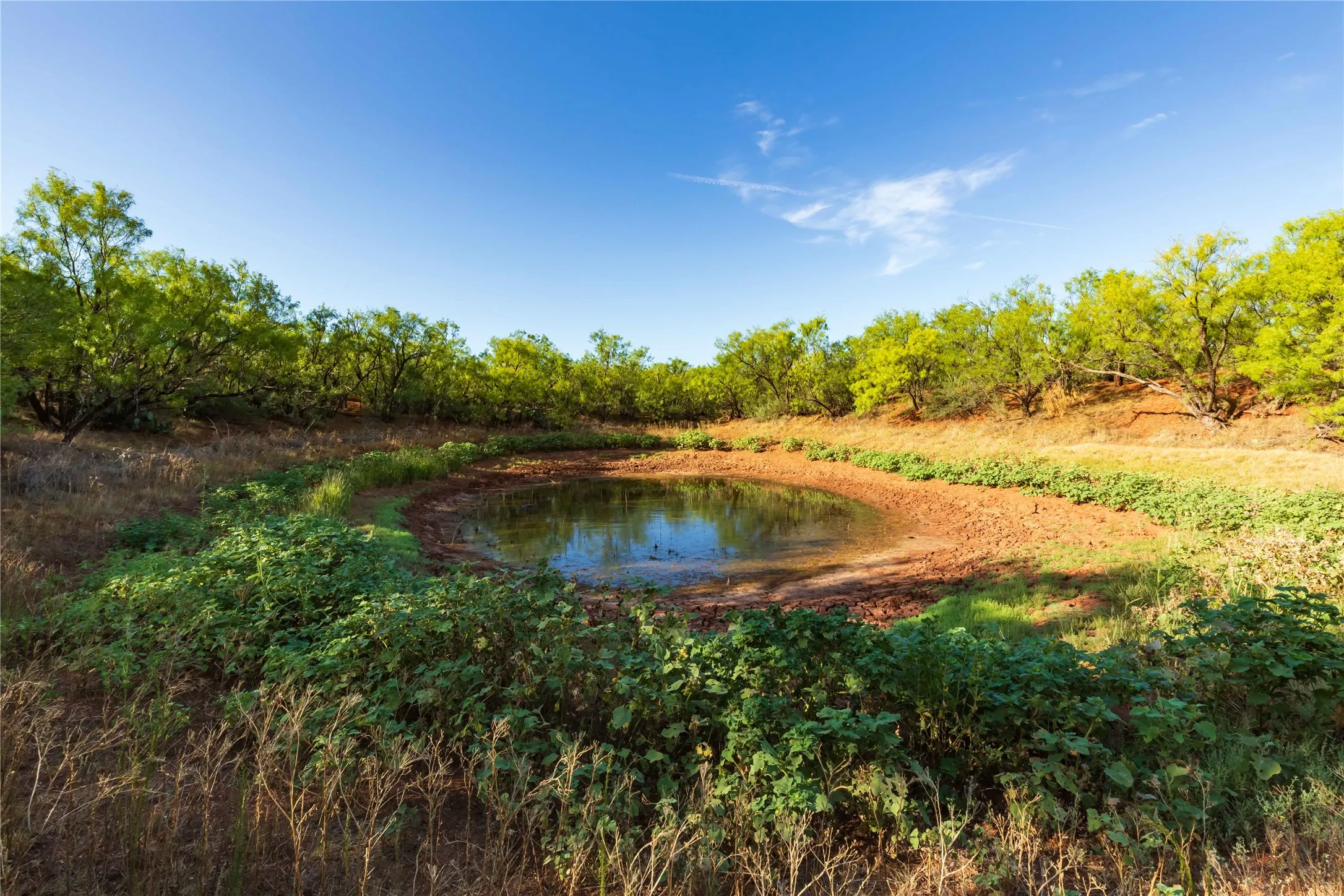 Unimproved Land For Sale in Jones County , oo FM 1226, Stamford, Texas 79553, 0, 0, Garage spaces, 0 Sqft, built in 0, mls#21365653, Real Estate Agent in Stamford, Homes For Sale in Jones county, Homes For Sale in Stamford, Realtor in Stamford Texas, Real Estate Brokerage Independent Realty Texas, Luminita Cordes Realtor