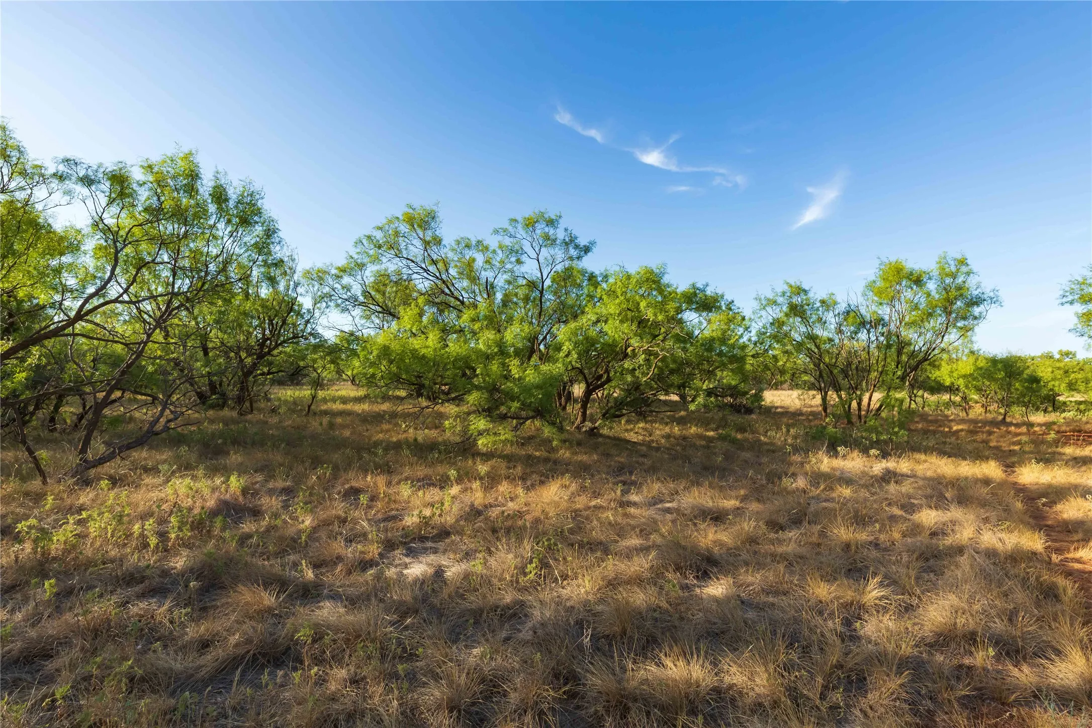 Unimproved Land For Sale in Jones County , oo FM 1226, Stamford, Texas 79553, 0, 0, Garage spaces, 0 Sqft, built in 0, mls#21365653, Real Estate Agent in Stamford, Homes For Sale in Jones county, Homes For Sale in Stamford, Realtor in Stamford Texas, Real Estate Brokerage Independent Realty Texas, Luminita Cordes Realtor