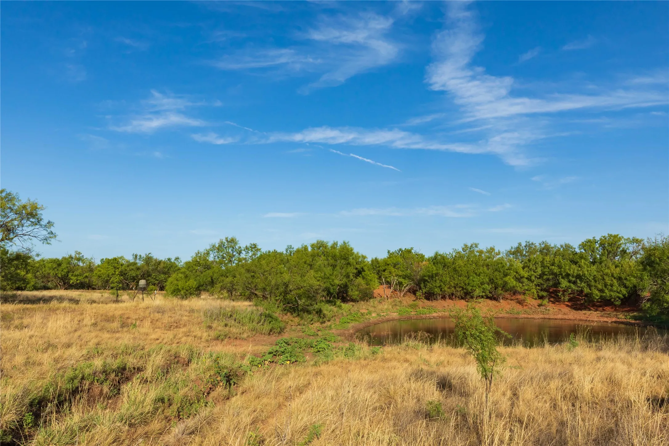 Unimproved Land For Sale in Jones County , oo FM 1226, Stamford, Texas 79553, 0, 0, Garage spaces, 0 Sqft, built in 0, mls#21365653, Real Estate Agent in Stamford, Homes For Sale in Jones county, Homes For Sale in Stamford, Realtor in Stamford Texas, Real Estate Brokerage Independent Realty Texas, Luminita Cordes Realtor