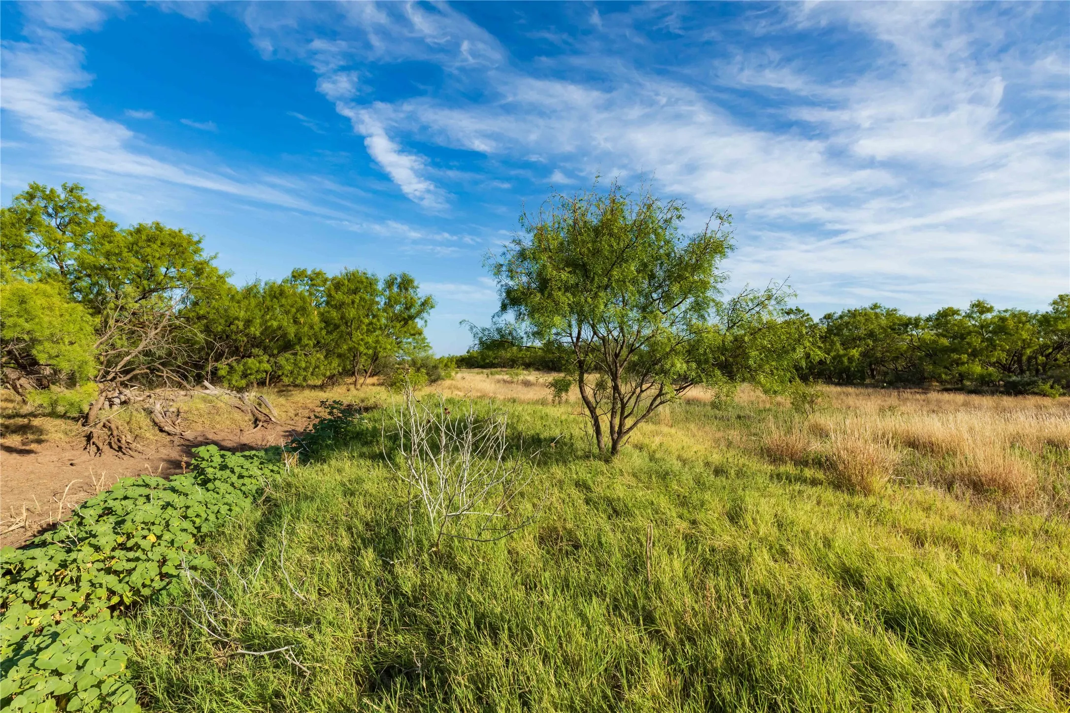 Unimproved Land For Sale in Jones County , oo FM 1226, Stamford, Texas 79553, 0, 0, Garage spaces, 0 Sqft, built in 0, mls#21365653, Real Estate Agent in Stamford, Homes For Sale in Jones county, Homes For Sale in Stamford, Realtor in Stamford Texas, Real Estate Brokerage Independent Realty Texas, Luminita Cordes Realtor