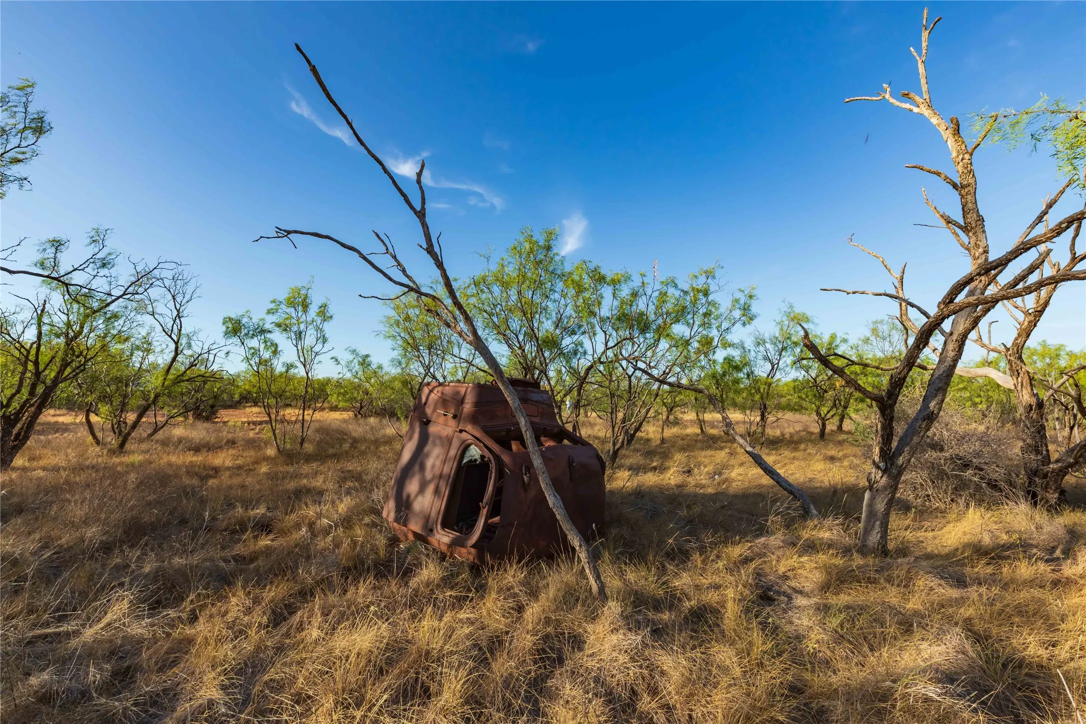 Unimproved Land For Sale in Jones County , oo FM 1226, Stamford, Texas 79553, 0, 0, Garage spaces, 0 Sqft, built in 0, mls#21365653, Real Estate Agent in Stamford, Homes For Sale in Jones county, Homes For Sale in Stamford, Realtor in Stamford Texas, Real Estate Brokerage Independent Realty Texas, Luminita Cordes Realtor