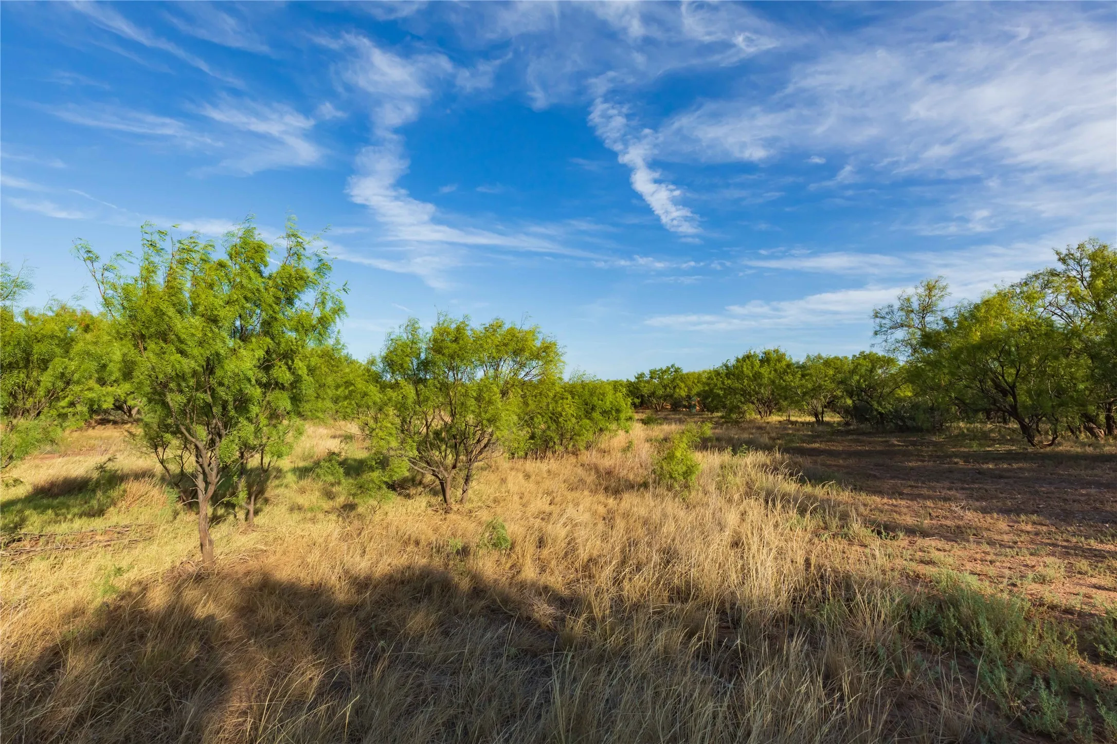 Unimproved Land For Sale in Jones County , oo FM 1226, Stamford, Texas 79553, 0, 0, Garage spaces, 0 Sqft, built in 0, mls#21365653, Real Estate Agent in Stamford, Homes For Sale in Jones county, Homes For Sale in Stamford, Realtor in Stamford Texas, Real Estate Brokerage Independent Realty Texas, Luminita Cordes Realtor