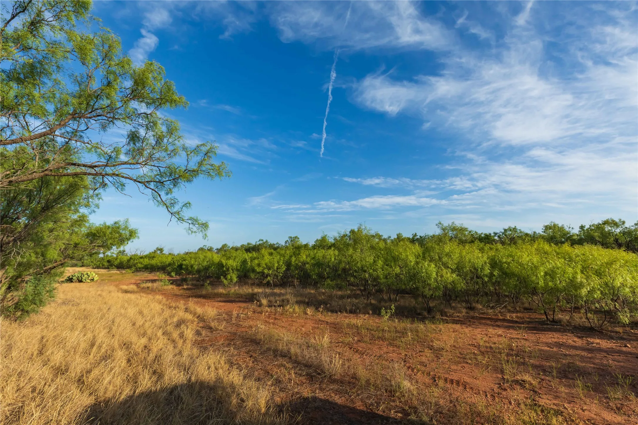 Unimproved Land For Sale in Jones County , oo FM 1226, Stamford, Texas 79553, 0, 0, Garage spaces, 0 Sqft, built in 0, mls#21365653, Real Estate Agent in Stamford, Homes For Sale in Jones county, Homes For Sale in Stamford, Realtor in Stamford Texas, Real Estate Brokerage Independent Realty Texas, Luminita Cordes Realtor