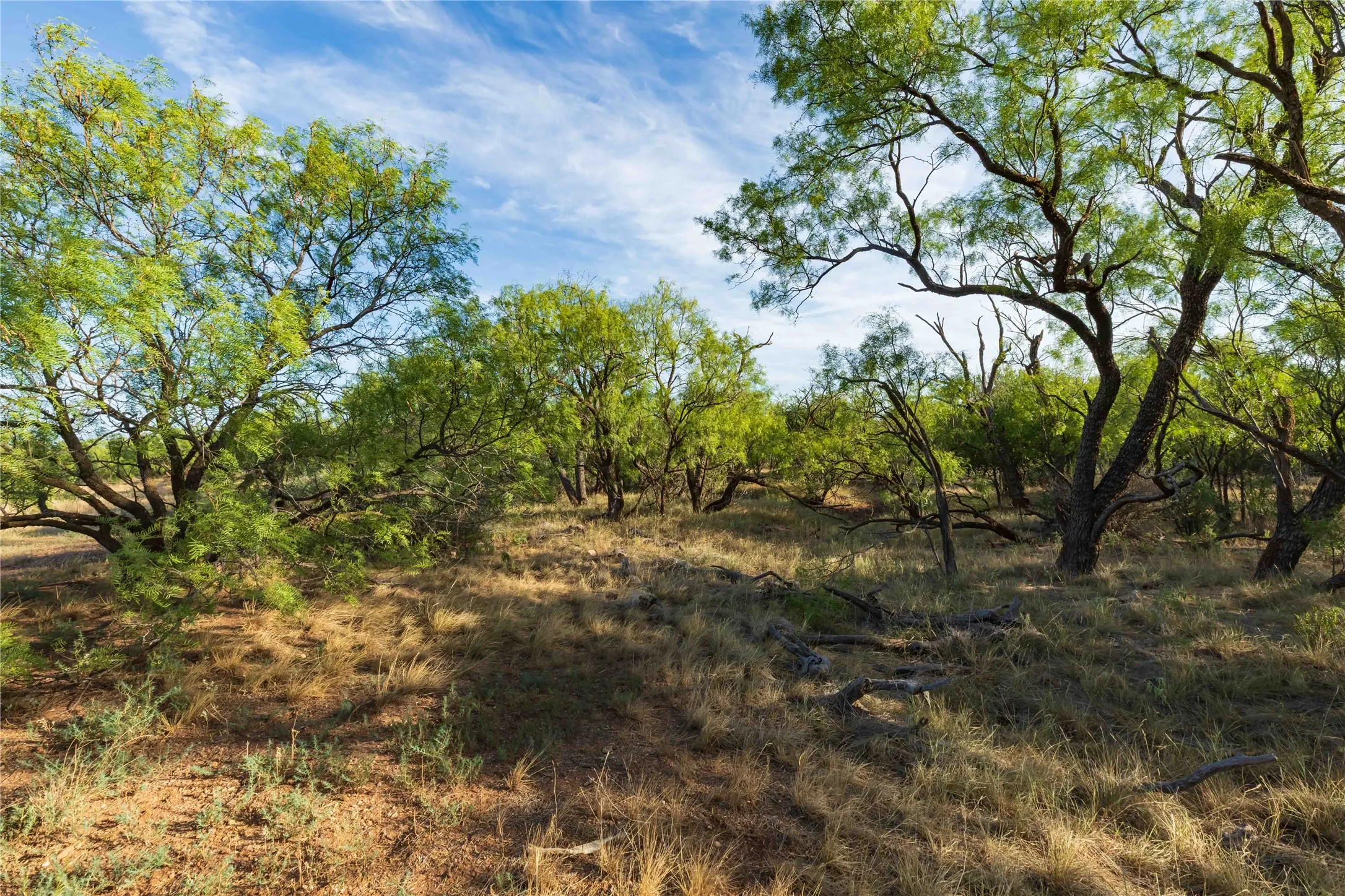 Unimproved Land For Sale in Jones County , oo FM 1226, Stamford, Texas 79553, 0, 0, Garage spaces, 0 Sqft, built in 0, mls#21365653, Real Estate Agent in Stamford, Homes For Sale in Jones county, Homes For Sale in Stamford, Realtor in Stamford Texas, Real Estate Brokerage Independent Realty Texas, Luminita Cordes Realtor