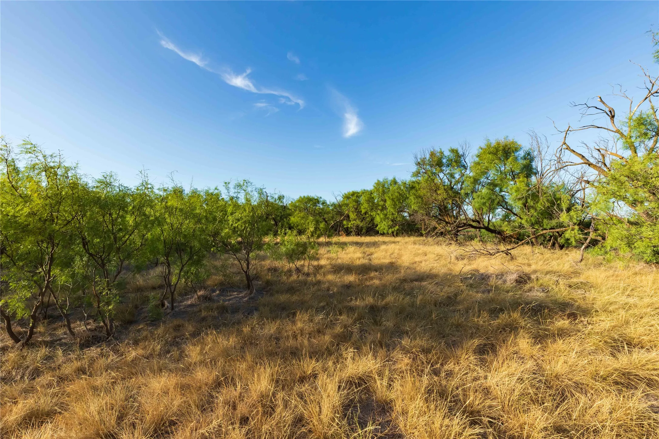 Unimproved Land For Sale in Jones County , oo FM 1226, Stamford, Texas 79553, 0, 0, Garage spaces, 0 Sqft, built in 0, mls#21365653, Real Estate Agent in Stamford, Homes For Sale in Jones county, Homes For Sale in Stamford, Realtor in Stamford Texas, Real Estate Brokerage Independent Realty Texas, Luminita Cordes Realtor