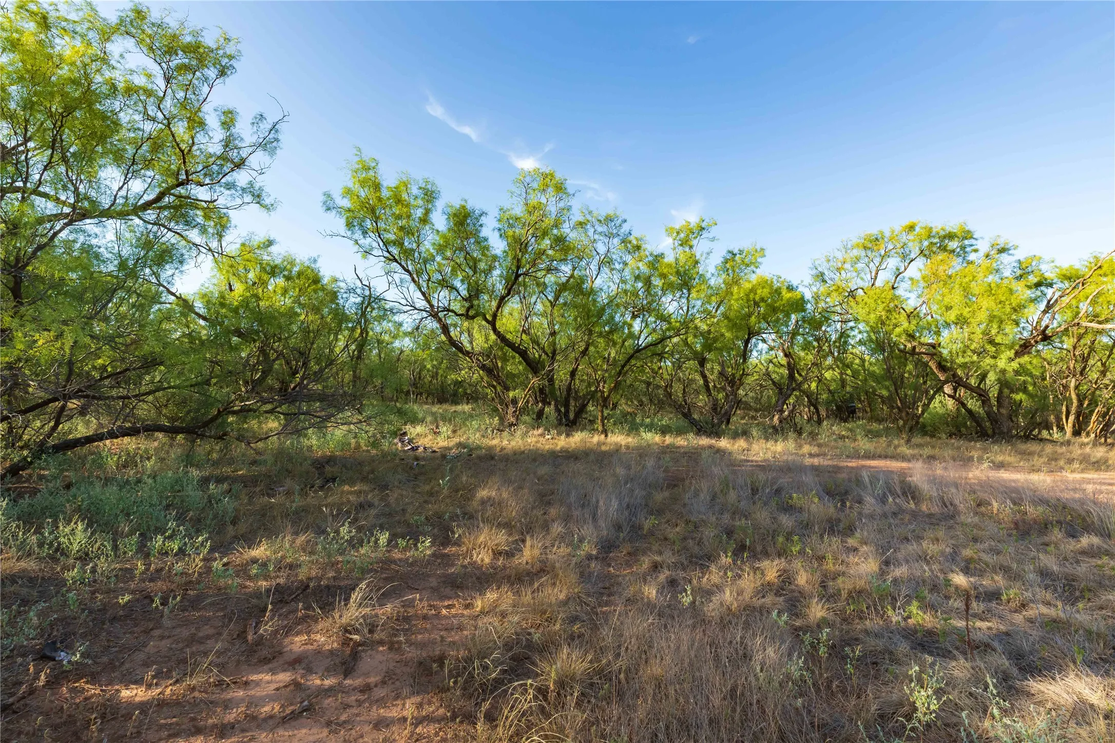 Unimproved Land For Sale in Jones County , oo FM 1226, Stamford, Texas 79553, 0, 0, Garage spaces, 0 Sqft, built in 0, mls#21365653, Real Estate Agent in Stamford, Homes For Sale in Jones county, Homes For Sale in Stamford, Realtor in Stamford Texas, Real Estate Brokerage Independent Realty Texas, Luminita Cordes Realtor